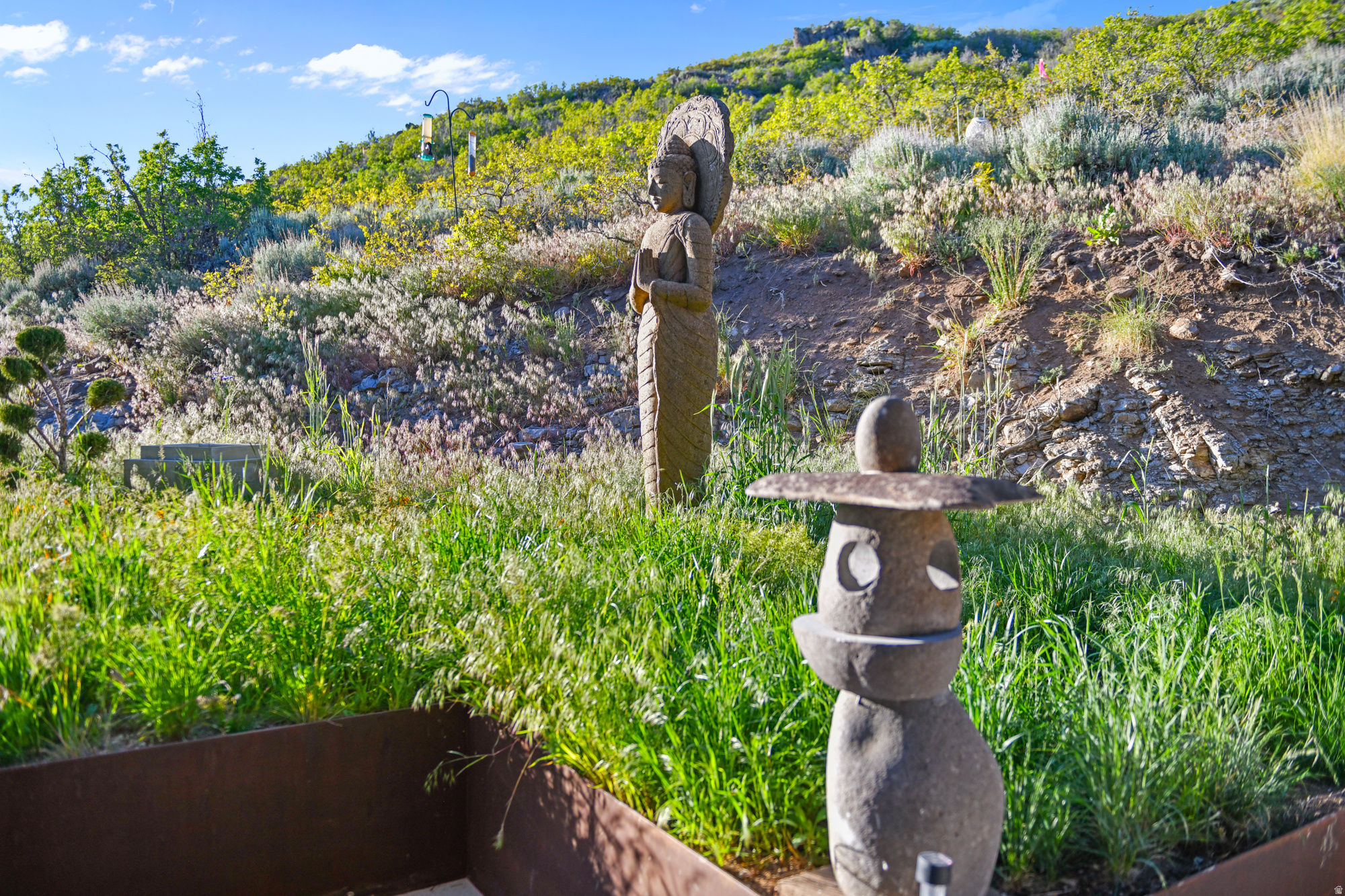 SOARING HAWK SUBDIVISION - Residential
