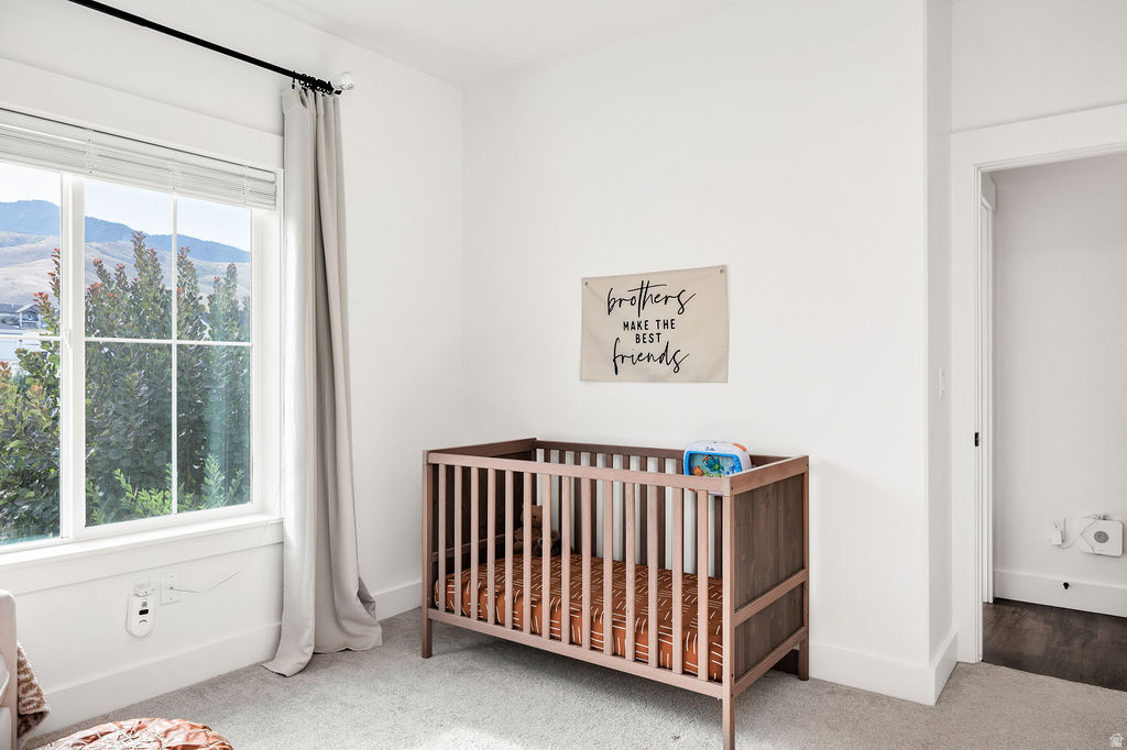 NORTH CREEK MEADOWS - Residential