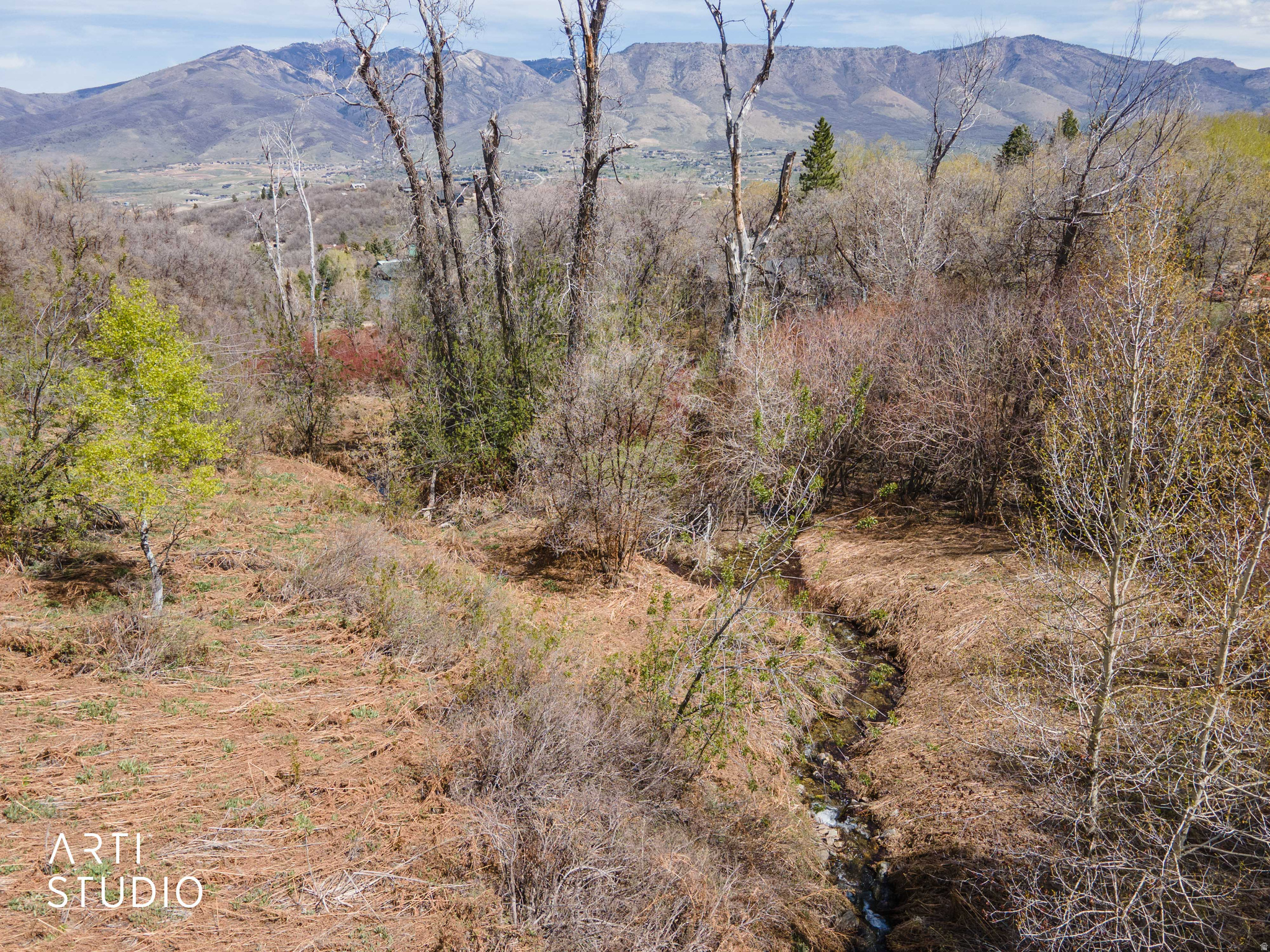 Please do not trespass on property. Please schedule a showing to walk the property as per Seller's request. Discover the perfect blend of privacy, nature, and recreation with this secluded Eden lot nestled in the heart of Ogden Valley. This downward-sloping parcel offers a unique opportunity to design a custom home that captures breathtaking mountain and valley views. A seasonal stream meanders through the property, adding to the peaceful, natural setting. You'll enjoy unmatched privacy and direct access to endless outdoor adventure right from your backyard. Located adjacent to Nordic Valley Ski Resort, this property is a dream for outdoor enthusiasts-offering year-round recreation including skiing, hiking, and biking. Whether you're looking to build a full-time residence or a mountain getaway, this rare piece of land combines serenity, location, and lifestyle in one exceptional offering. Two parcels are being sold together for a total of 2.99 acres. Parcel 22-032-0038 & 22-029-0015. Buyer/Buyer's Agent to verify all. GeoTech Study has not been completed nor has the Site & Soil Test for Weber/Morgan Health Department. Please contact listing agent for topography. Outline of property is for illustration purposes only. NO LEGAL ADDRESS ON FILE. ADDRESS GIVEN IS TO HELP LOCATE THE PROPERTY ONLY. CONTACT AGENT FOR GPS PIN.