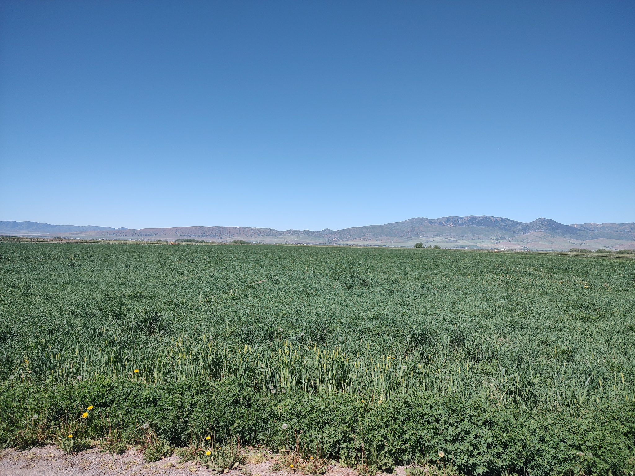 Prime Location! Beautiful mountain and valley views. 15.50 acres on the outskirts of Preston. Perfect place for that custom home and hobby farm. Utilities close by with city water available. Fertile soil and secondary water, 15 water shares included. Additional acreage and water available.
