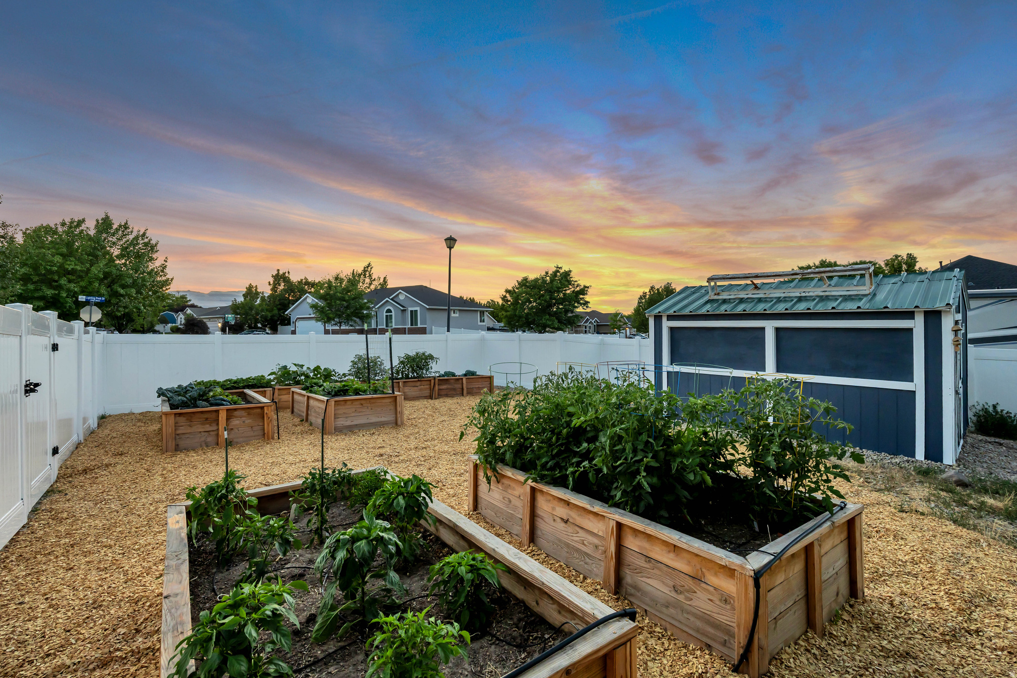 NELSON - Residential