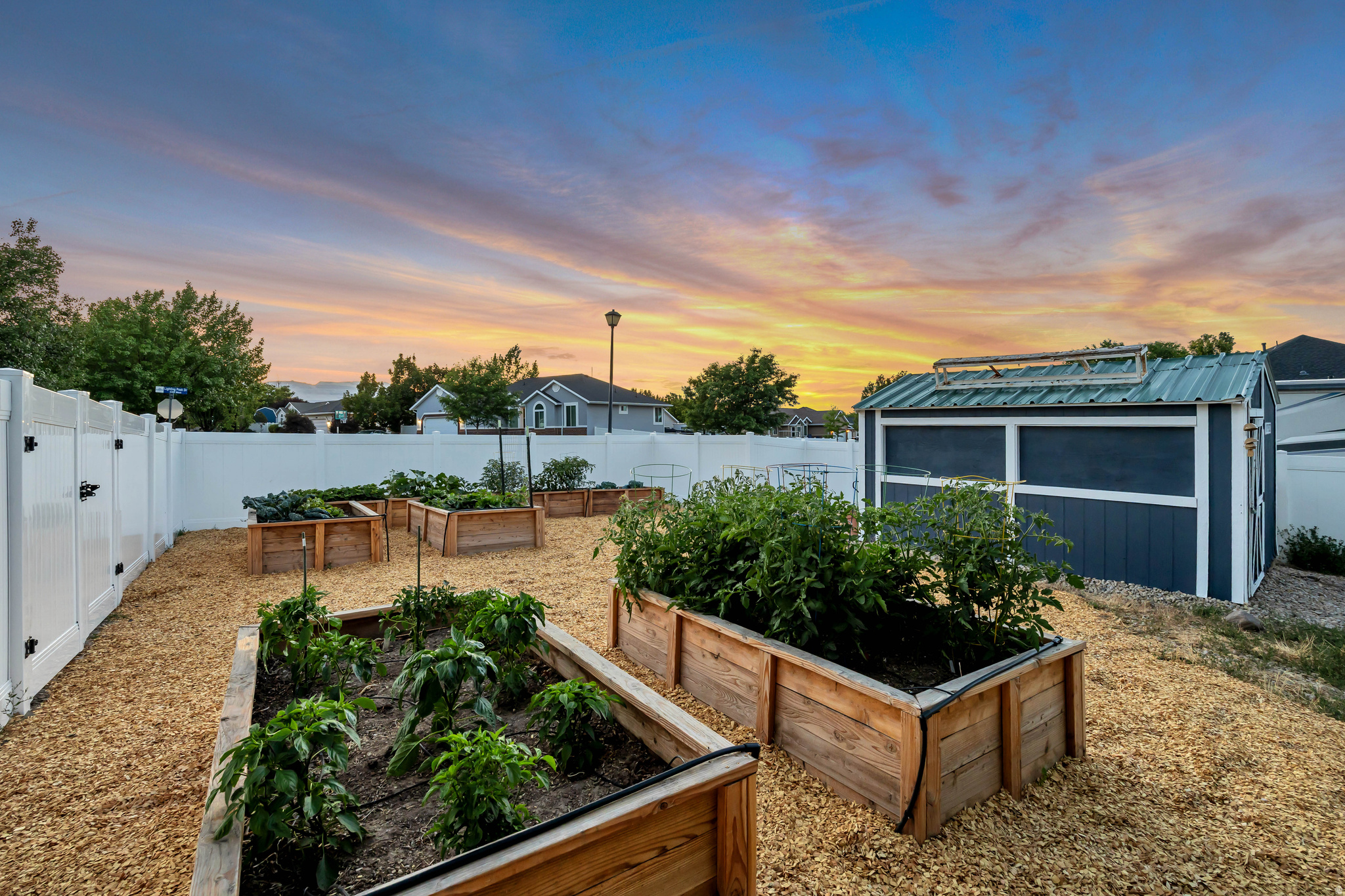 NELSON - Residential