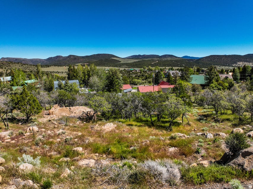 PINE VALLEY RANCHOS - Land