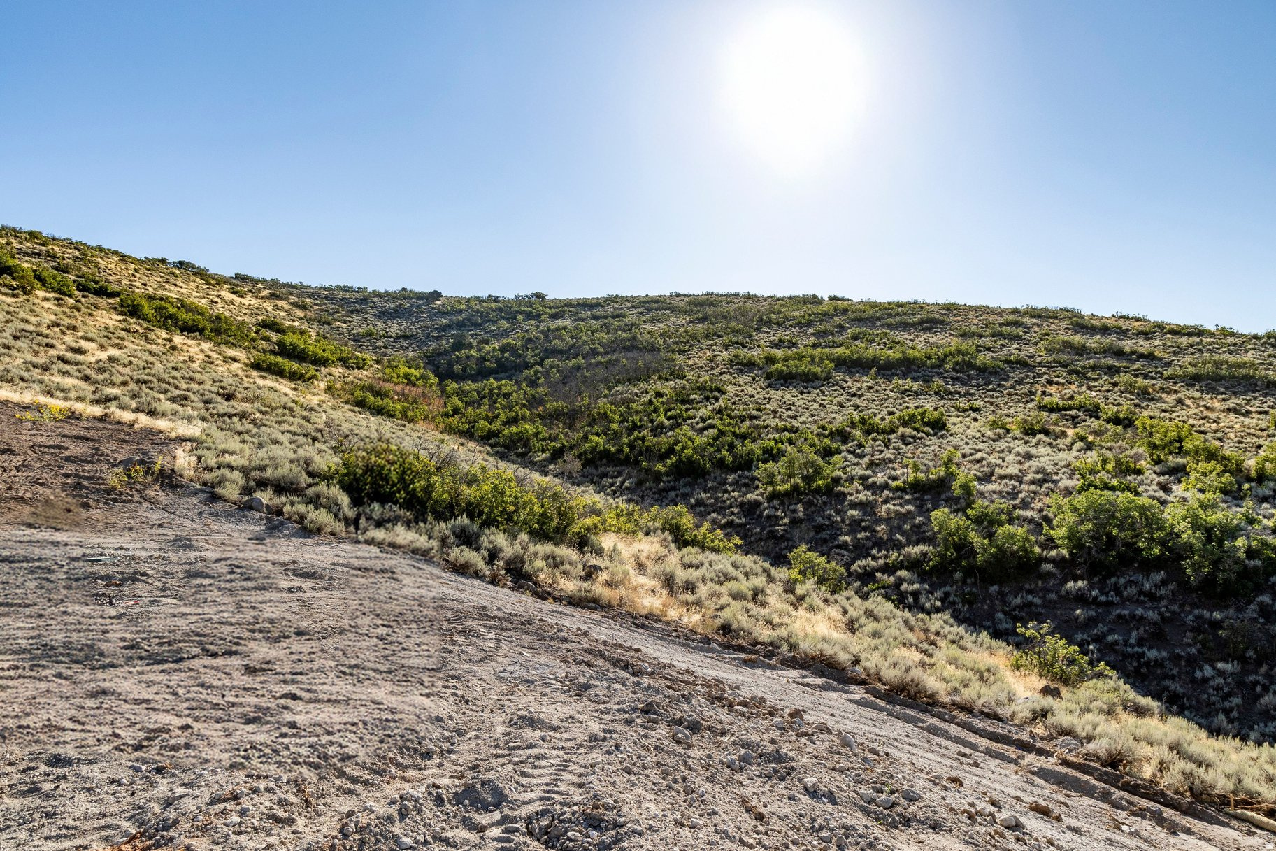 TIMP GROVE / JORDANELLE RIDGE - Residential