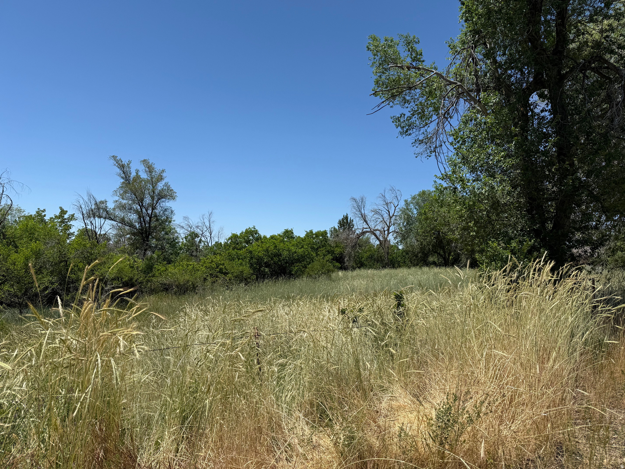 Come check out this beautiful serene lot on Layton's East Bench.  It offers mountain and valley views and the sunsets are amazing! It's a perfect location to build your dream home with immediate access to outdoor recreation and easy access to Hwy 89 and I15. This 2.2 acre lot can also be sold as separate lots of 1.4 and .8 acres. Includes parcel #09-081-0216 (.8 acre lot) While subdivision would require city approval there is potential to subdivide into 6 lots between the 2.2 acres.