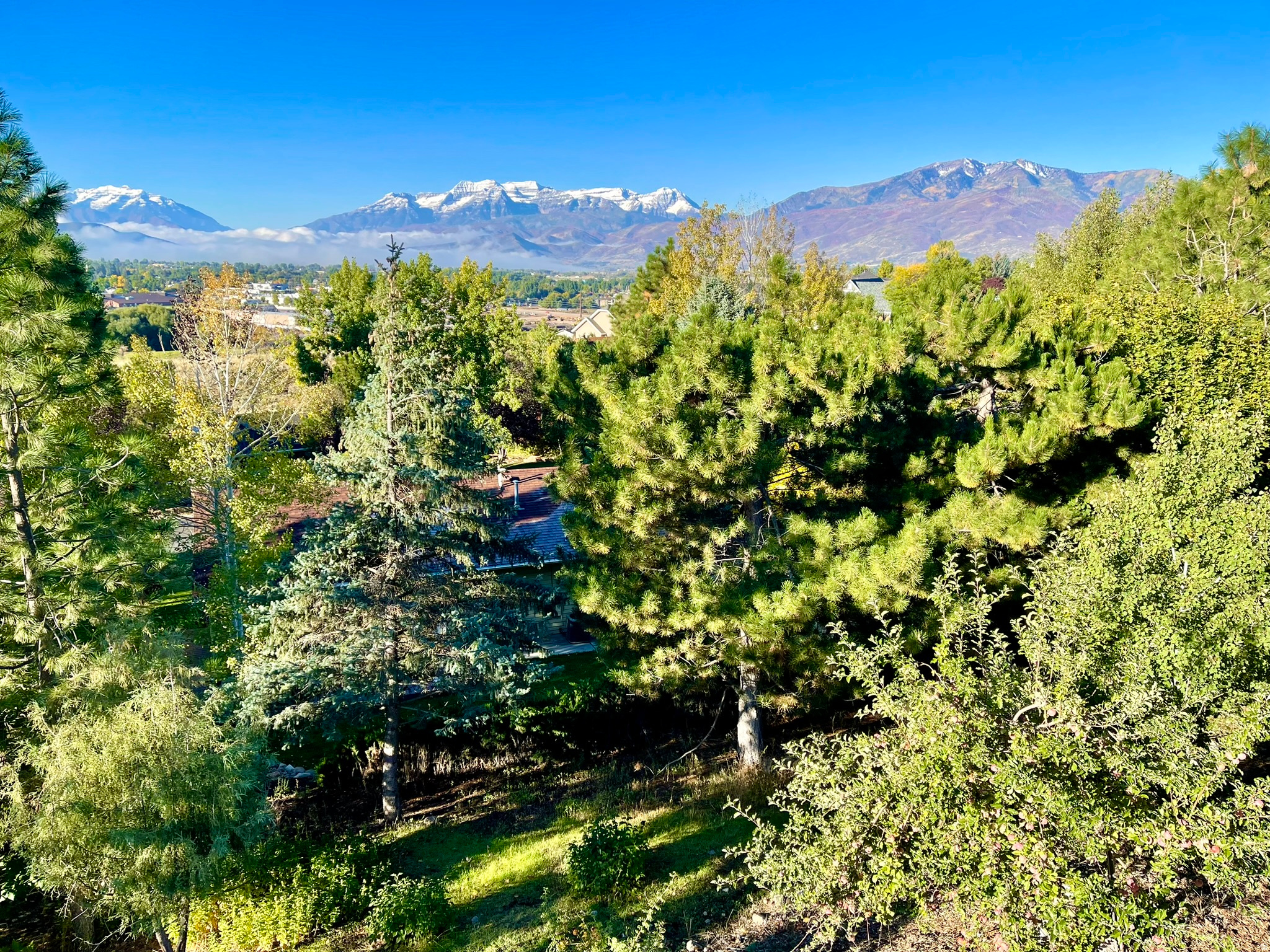VALLEY HILLS ESTATES - Residential