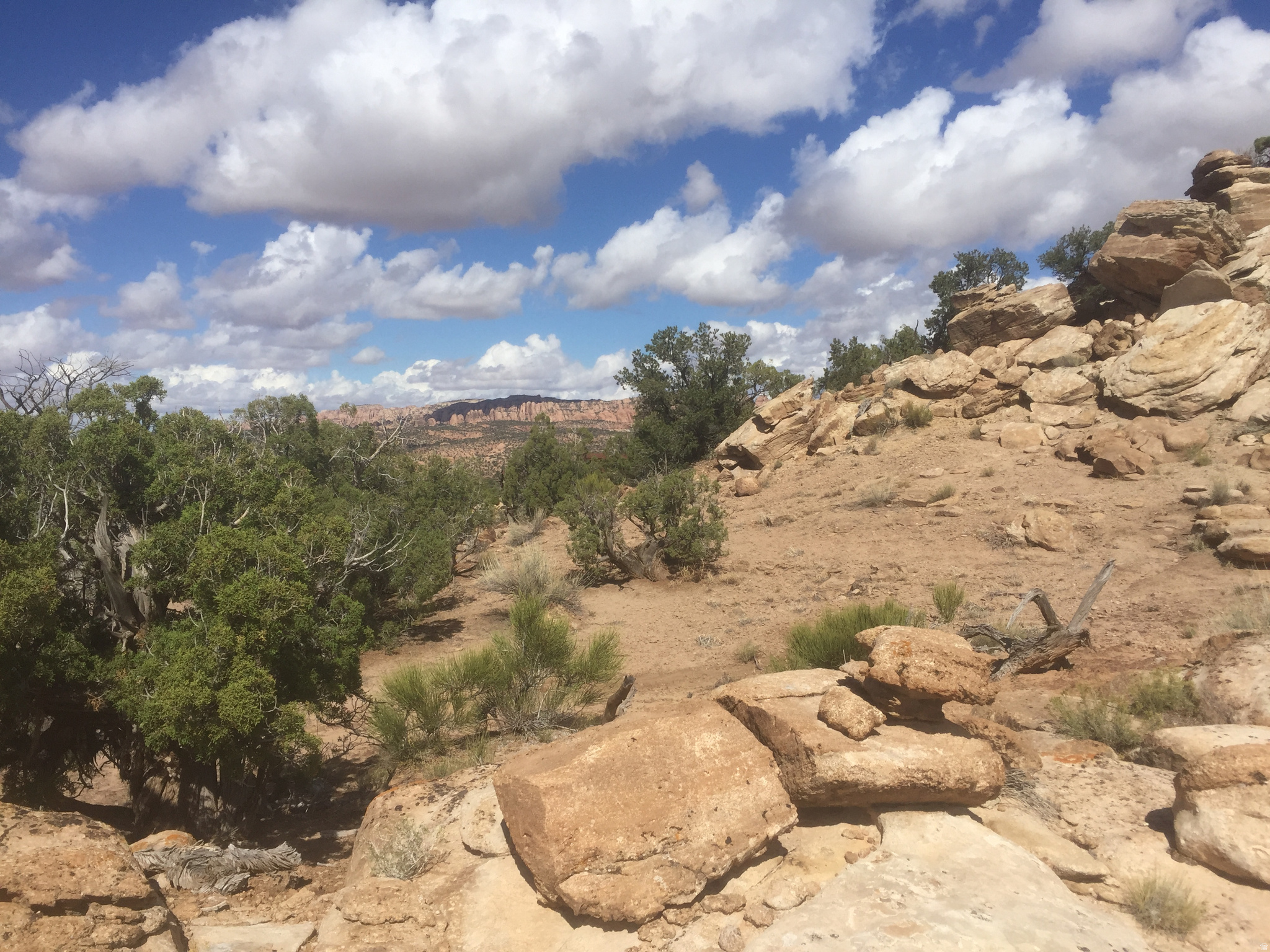 BRIDGER JACK MESA - Land