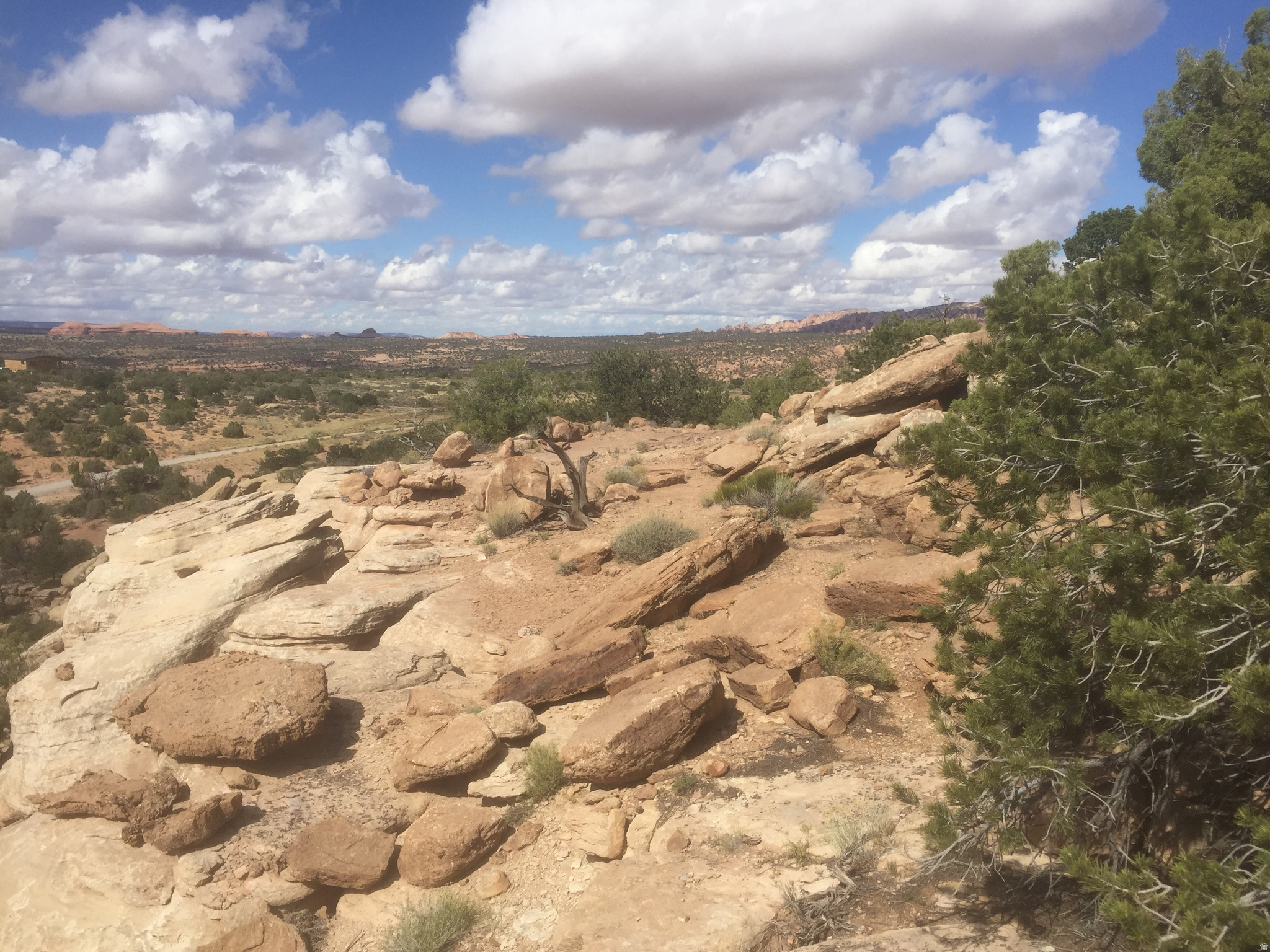 BRIDGER JACK MESA - Land