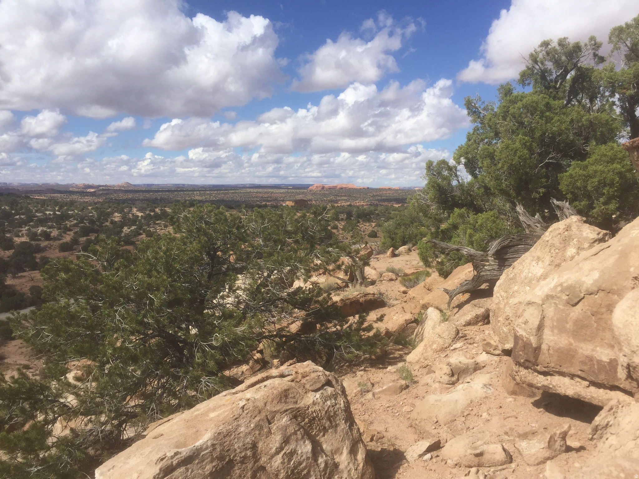BRIDGER JACK MESA - Land