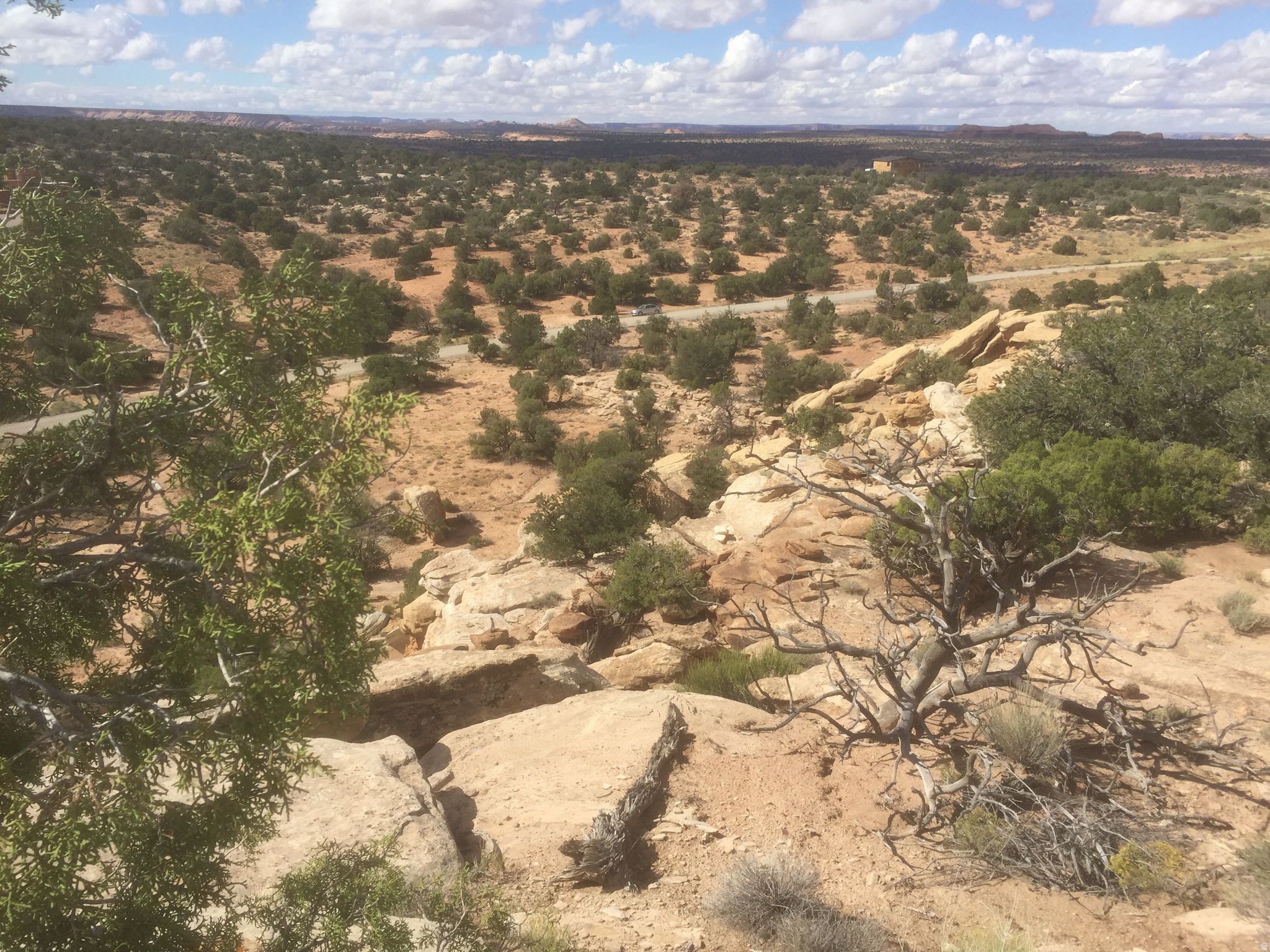 BRIDGER JACK MESA - Land