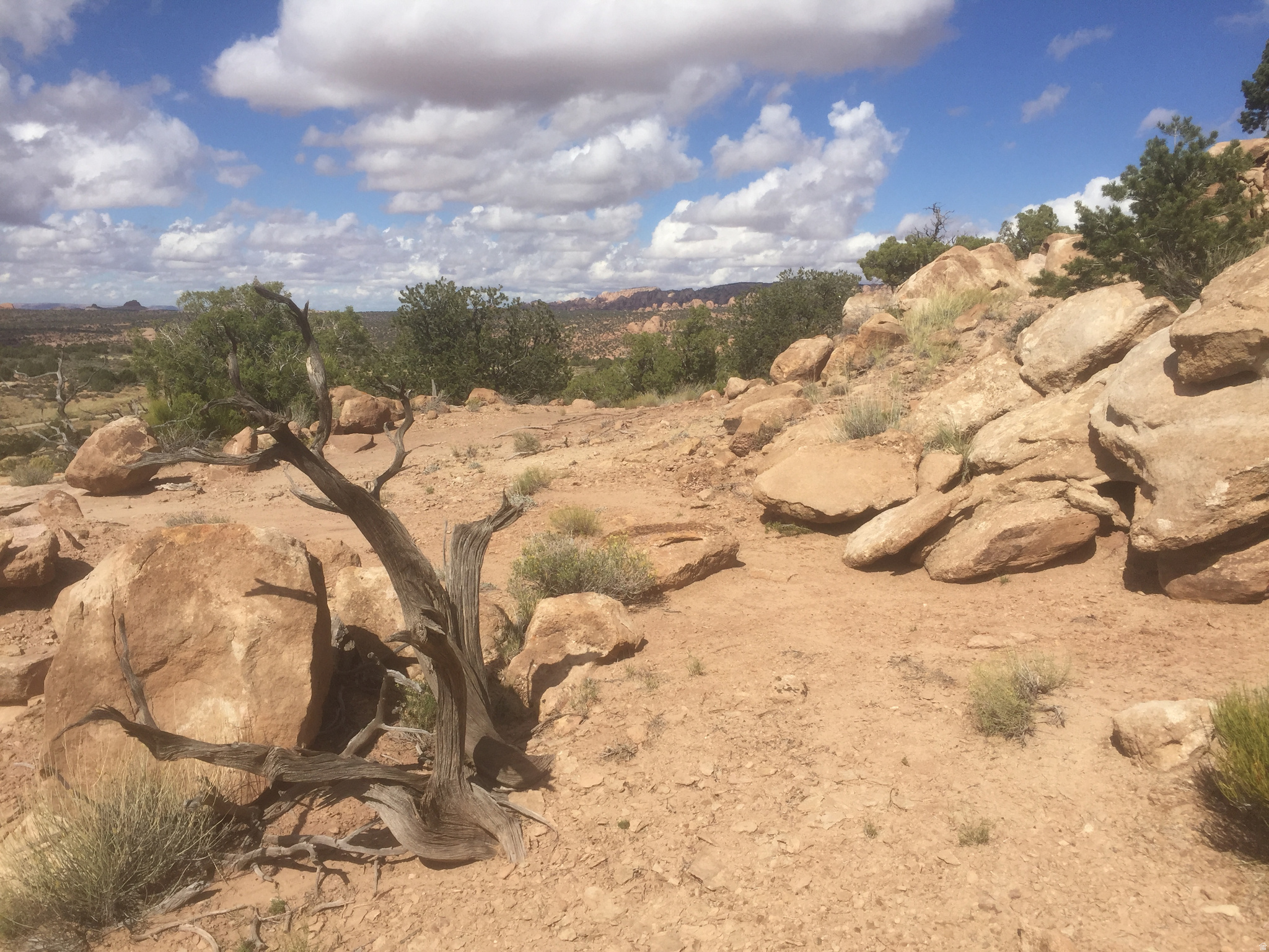 BRIDGER JACK MESA - Land