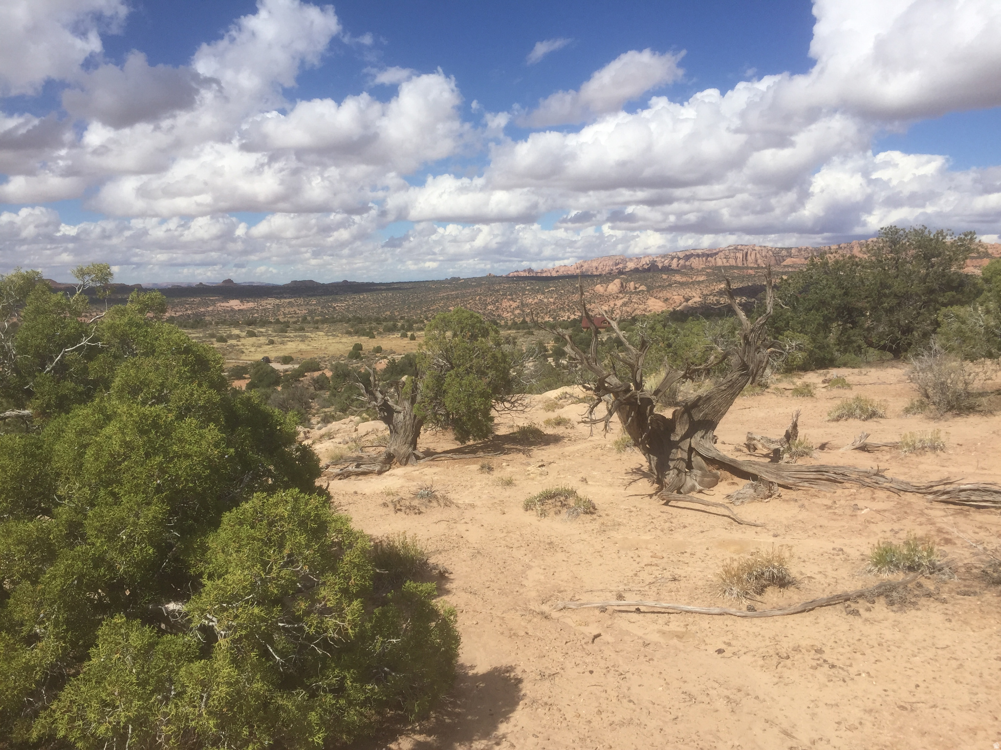 BRIDGER JACK MESA - Land