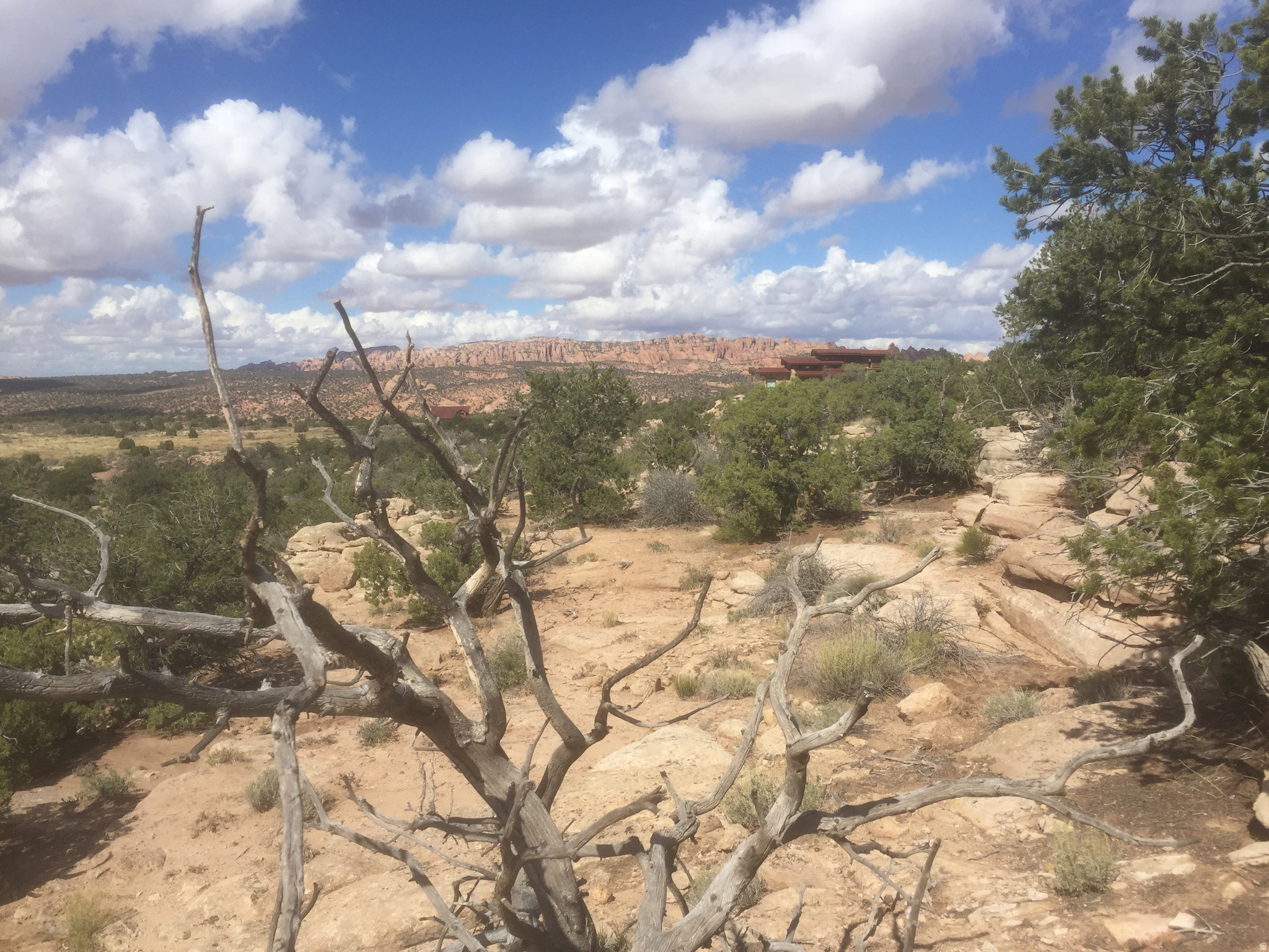 Seize the opportunity to own a place to build your desert refuge in the popular Bridger Jack Mesa community just 14 miles south of Moab. Multiple choices for building sites. The lower level offers ease of building with simple septic solutions. The upper level offers some of the most spectacular panoramic views of the area.  Power at the lot line. Buyer drills their own well and installs septic. Owner/Agent.