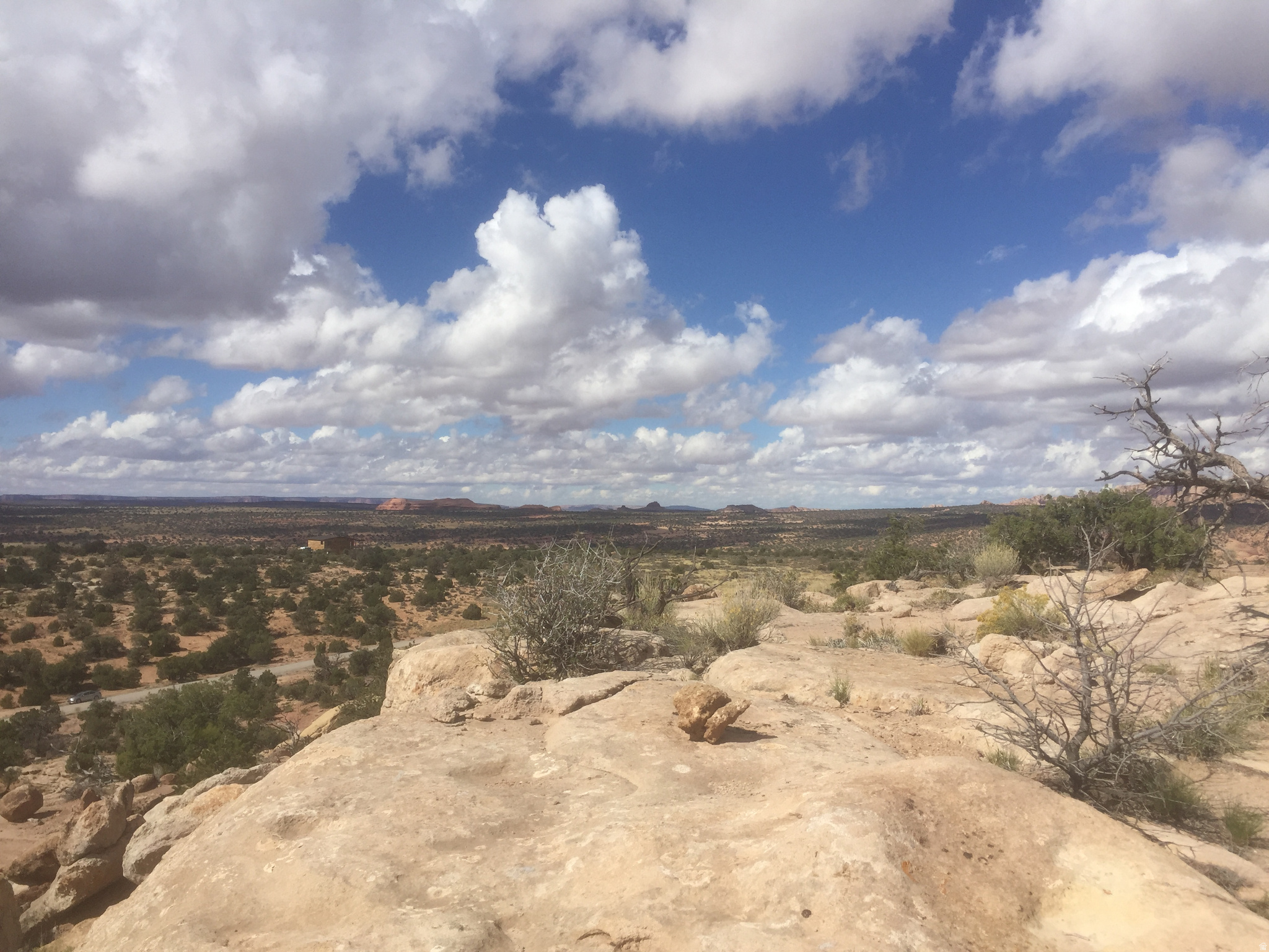 BRIDGER JACK MESA - Land