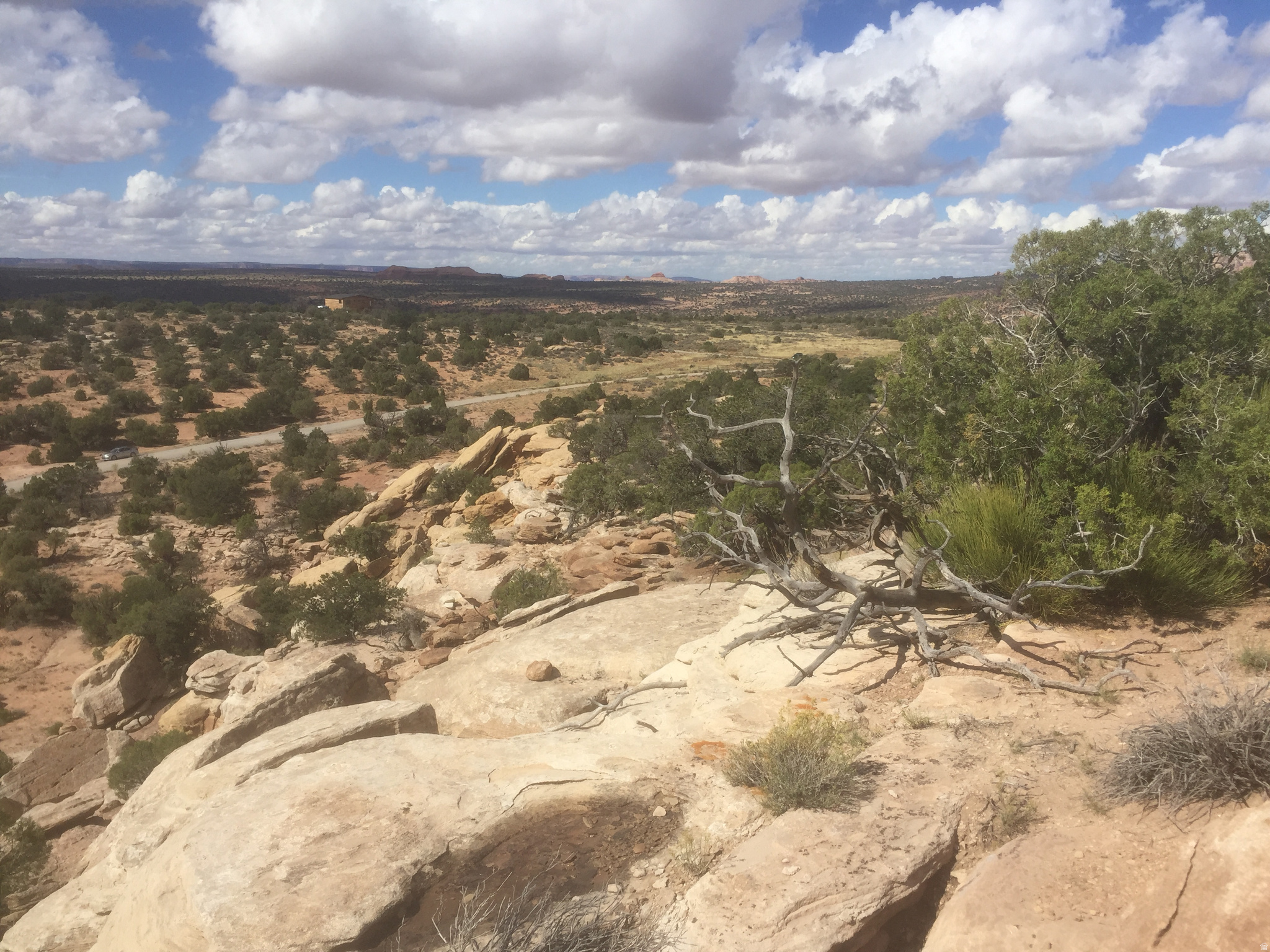 BRIDGER JACK MESA - Land