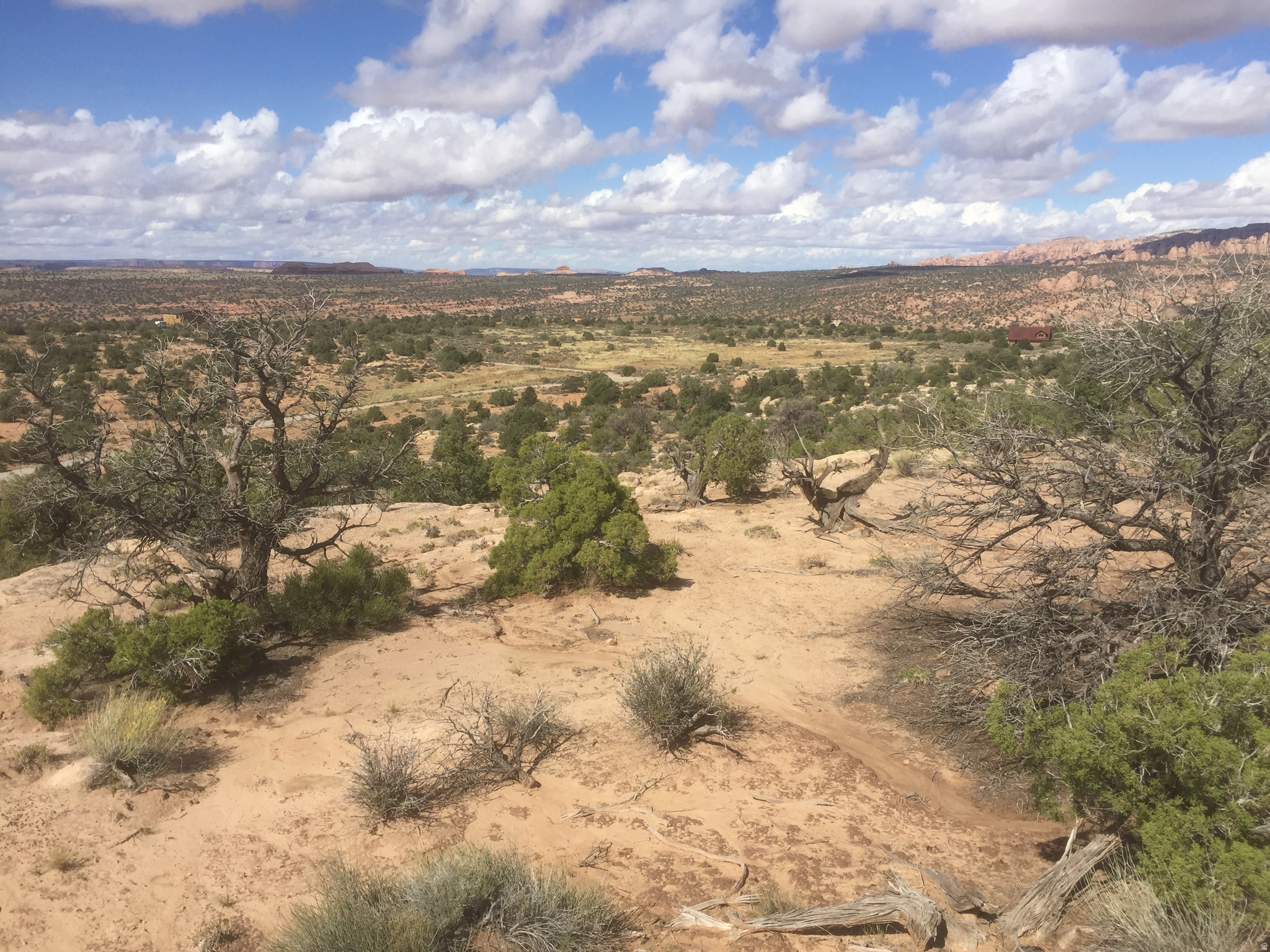 BRIDGER JACK MESA - Land