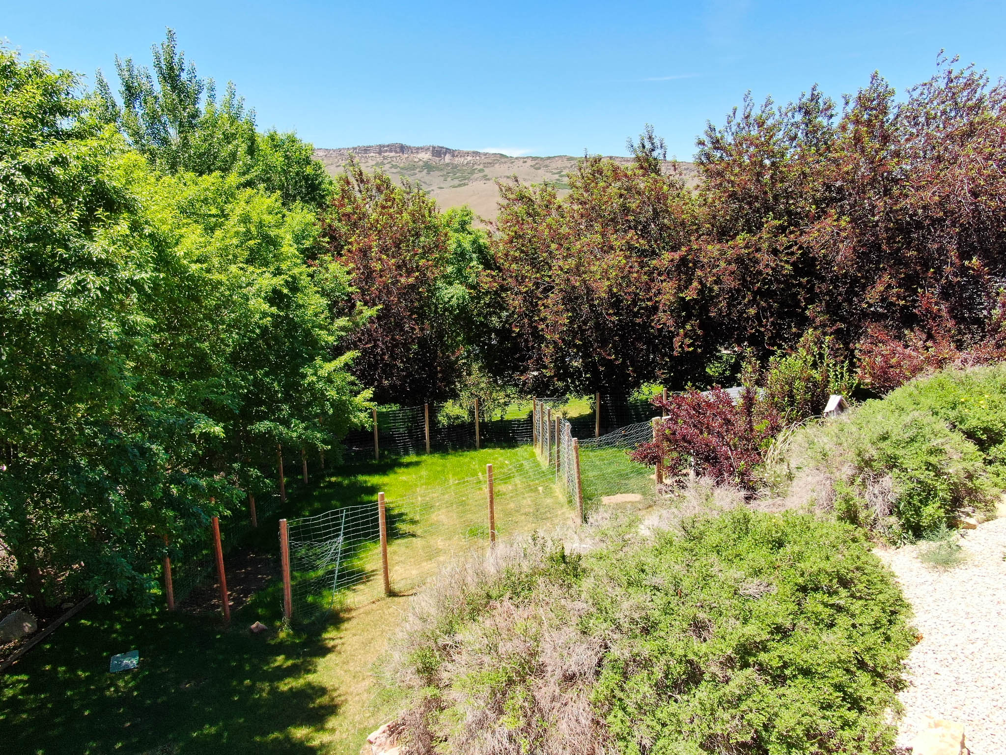 WALKER VIEW ESTATES - Residential