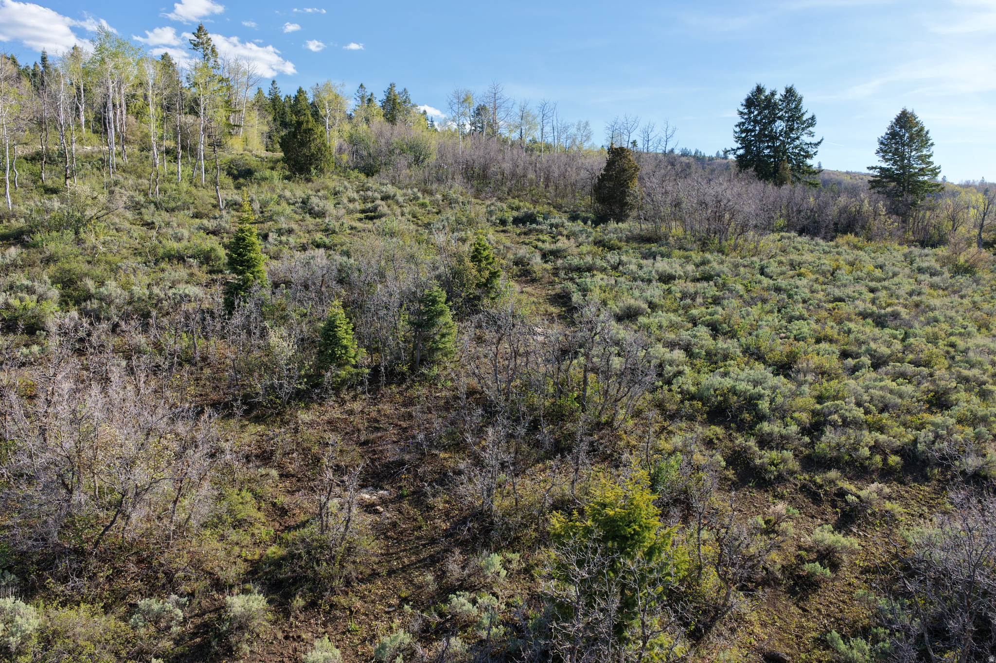 SOLDIER SUMMIT ESTATES - Land