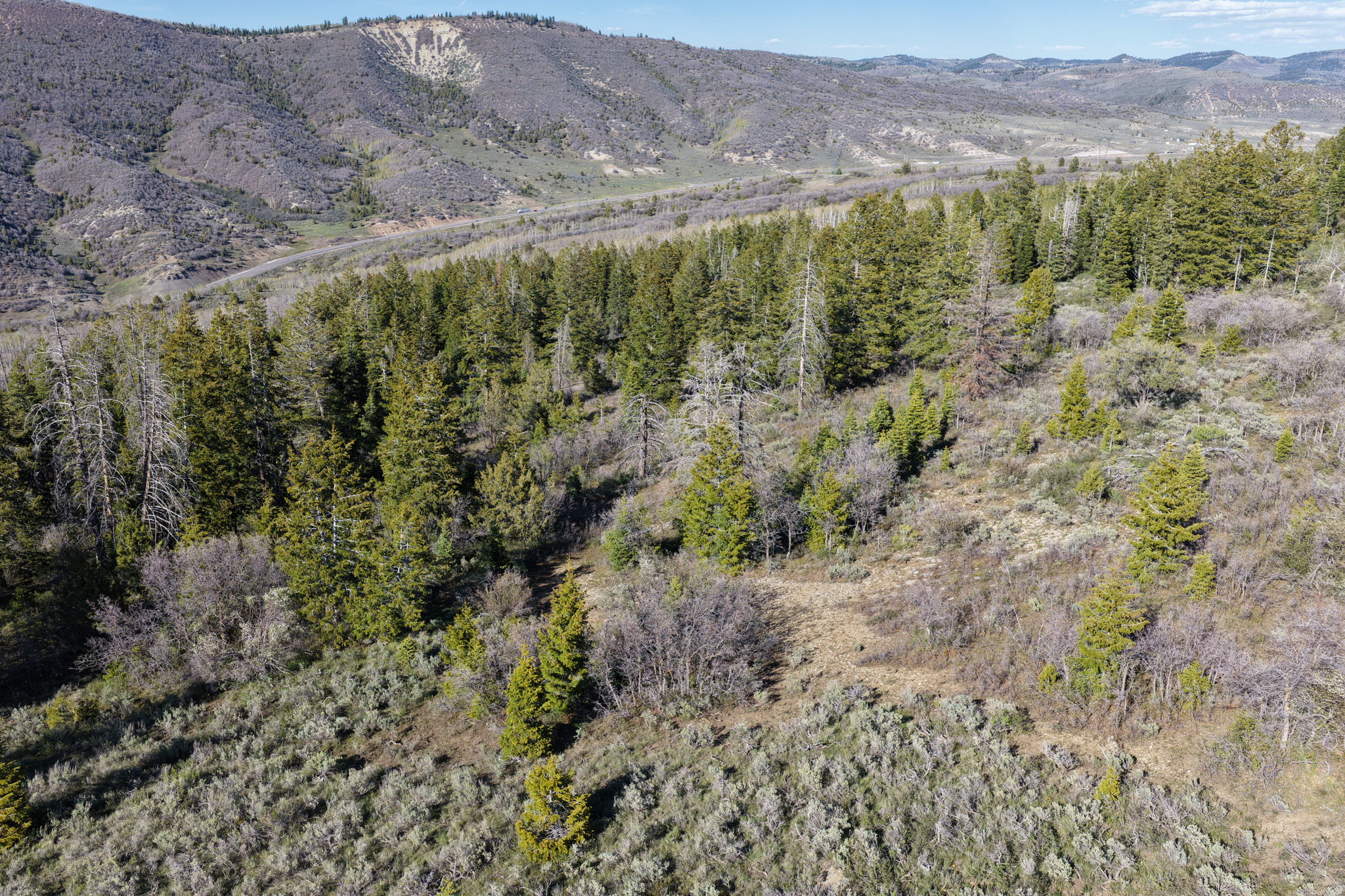 SOLDIER SUMMIT ESTATES - Land