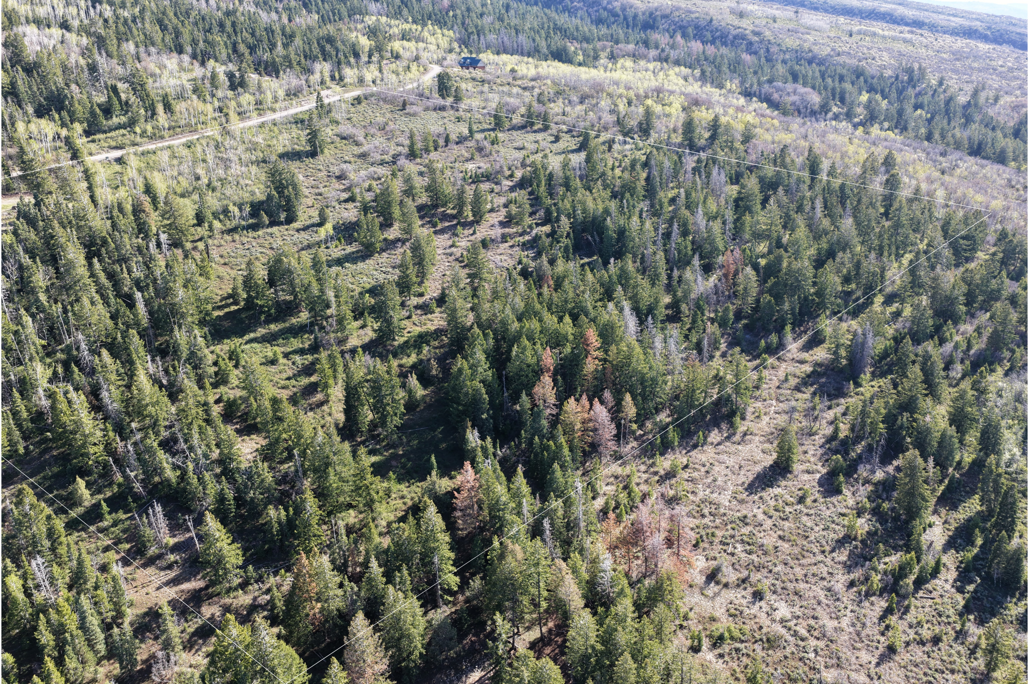 SOLDIER SUMMIT ESTATES - Land