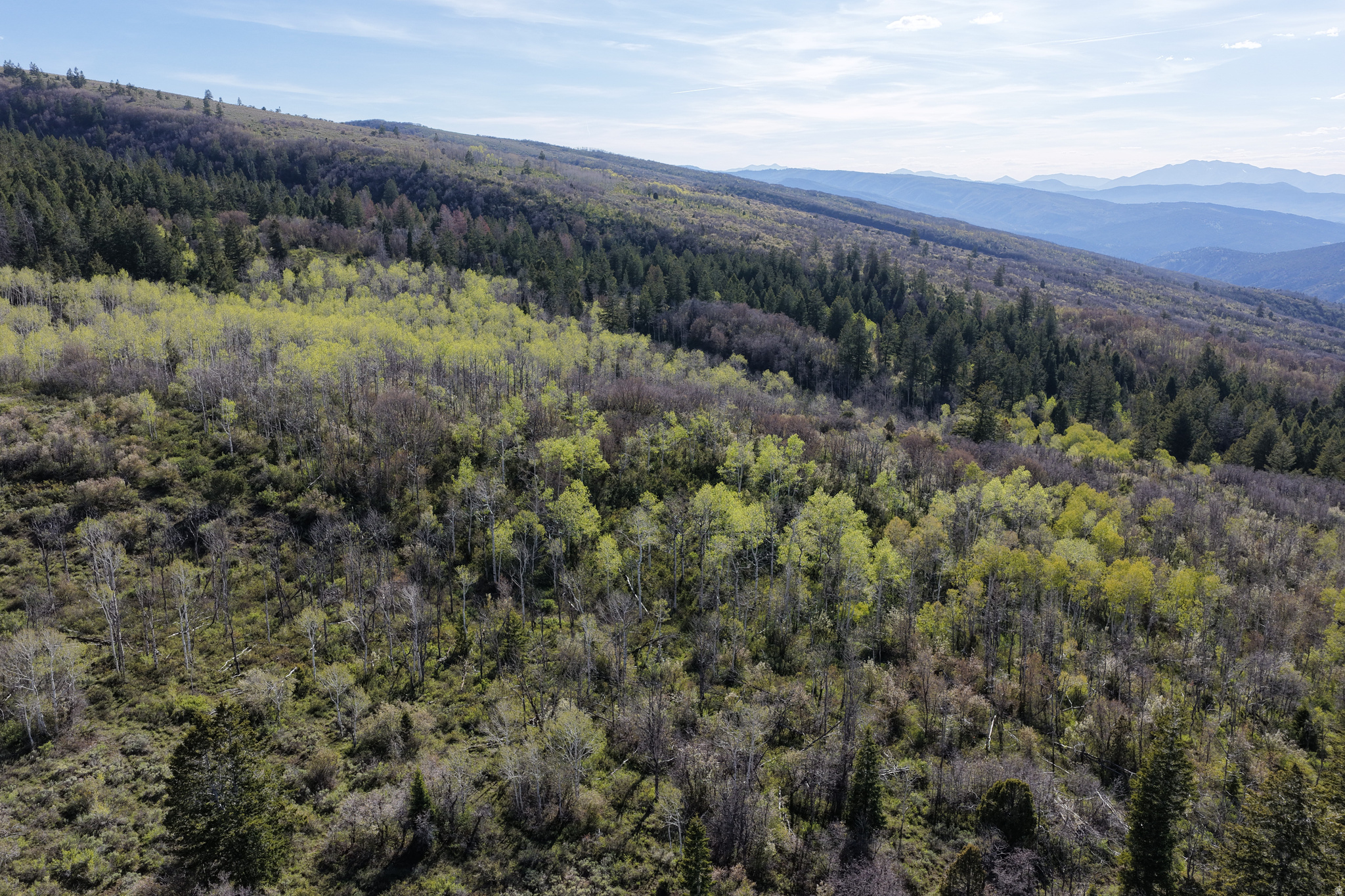 SOLDIER SUMMIT ESTATES - Land