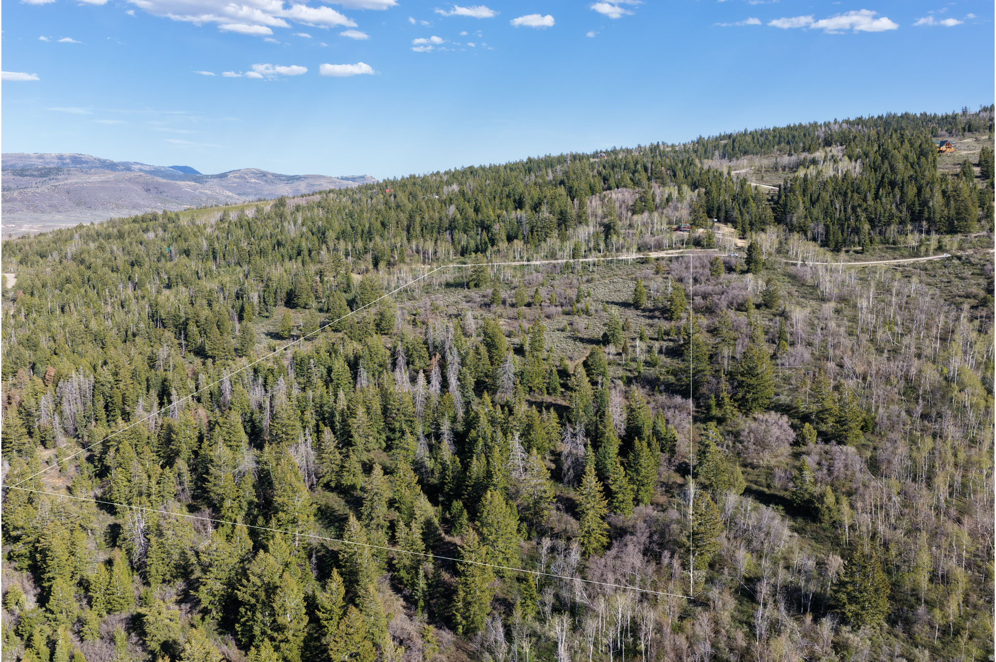 Pristine lot views of Northern and Western mountains and nightly sunset views. Lot is easy to walk with its slight slope to sloped and easy to walk. Pine trees, Quaking Aspens and Brush with open pockets of sage define this lots private settings. Road snow is plowed weekly for your winter access. Stubbed water, power and phone lines. Buyers to verify information and square footage. Minutes to numerous ATV, Snowmobile backcountry roads and numerous other areas for winter and summer activities. Scofield lake is a short 20-minute drive for boating and fishing. 40 minutes to Spanish Fork or 45 minutes to Helper.