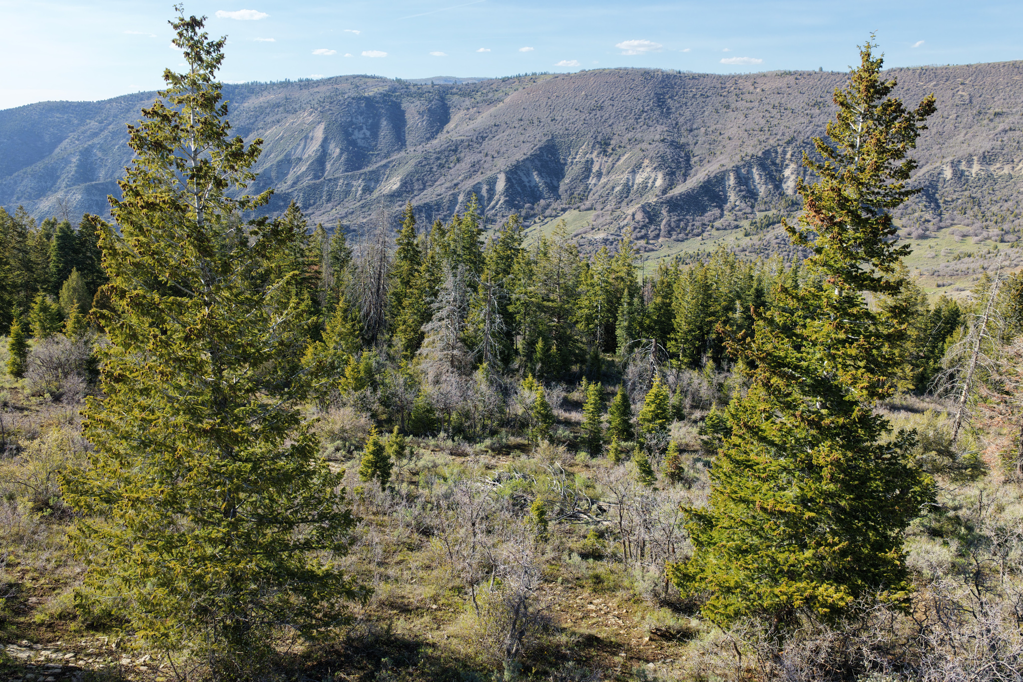 SOLDIER SUMMIT ESTATES - Land
