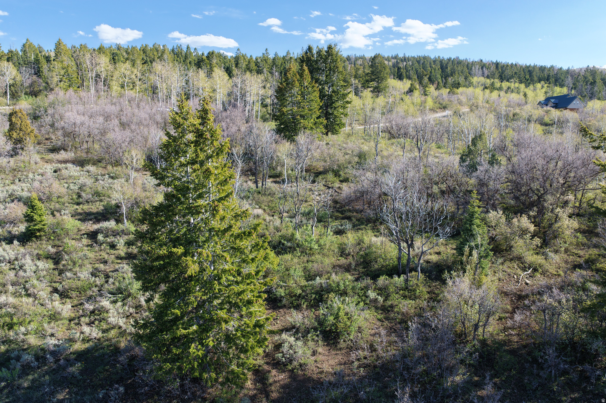 SOLDIER SUMMIT ESTATES - Land