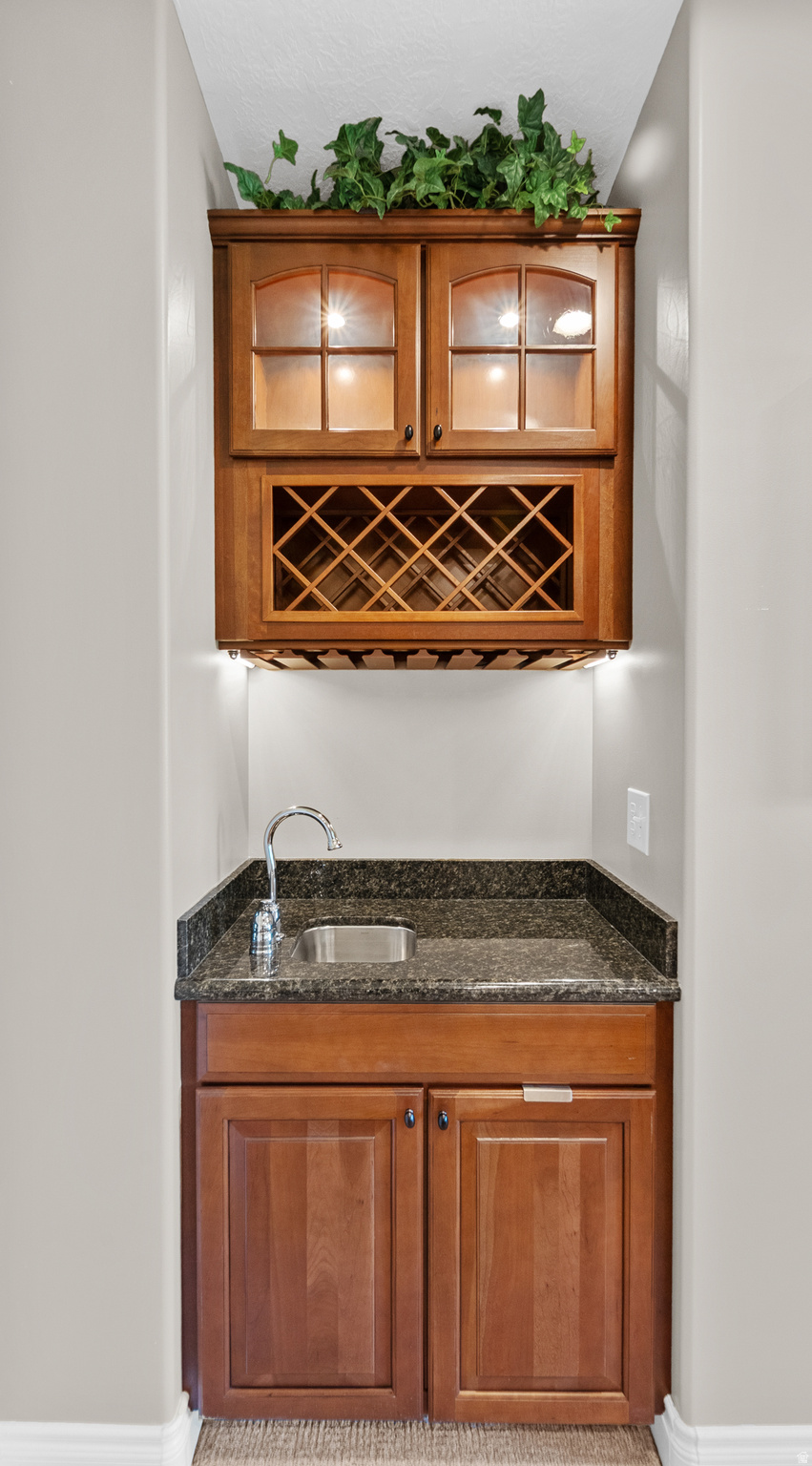 VILLAGE ON DIMPLE DELL CONDO - Residential
