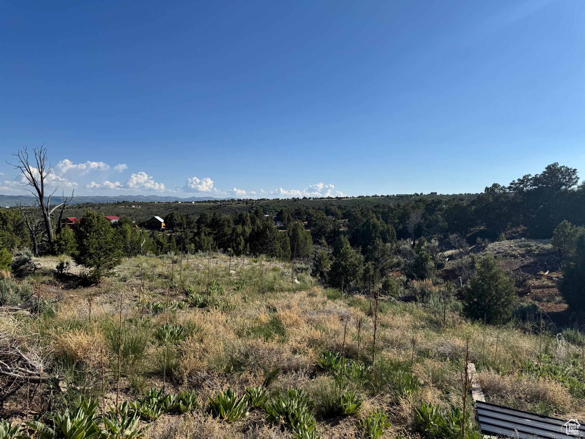 ELKHORN PHASE BANDANNA RANCH - Residential