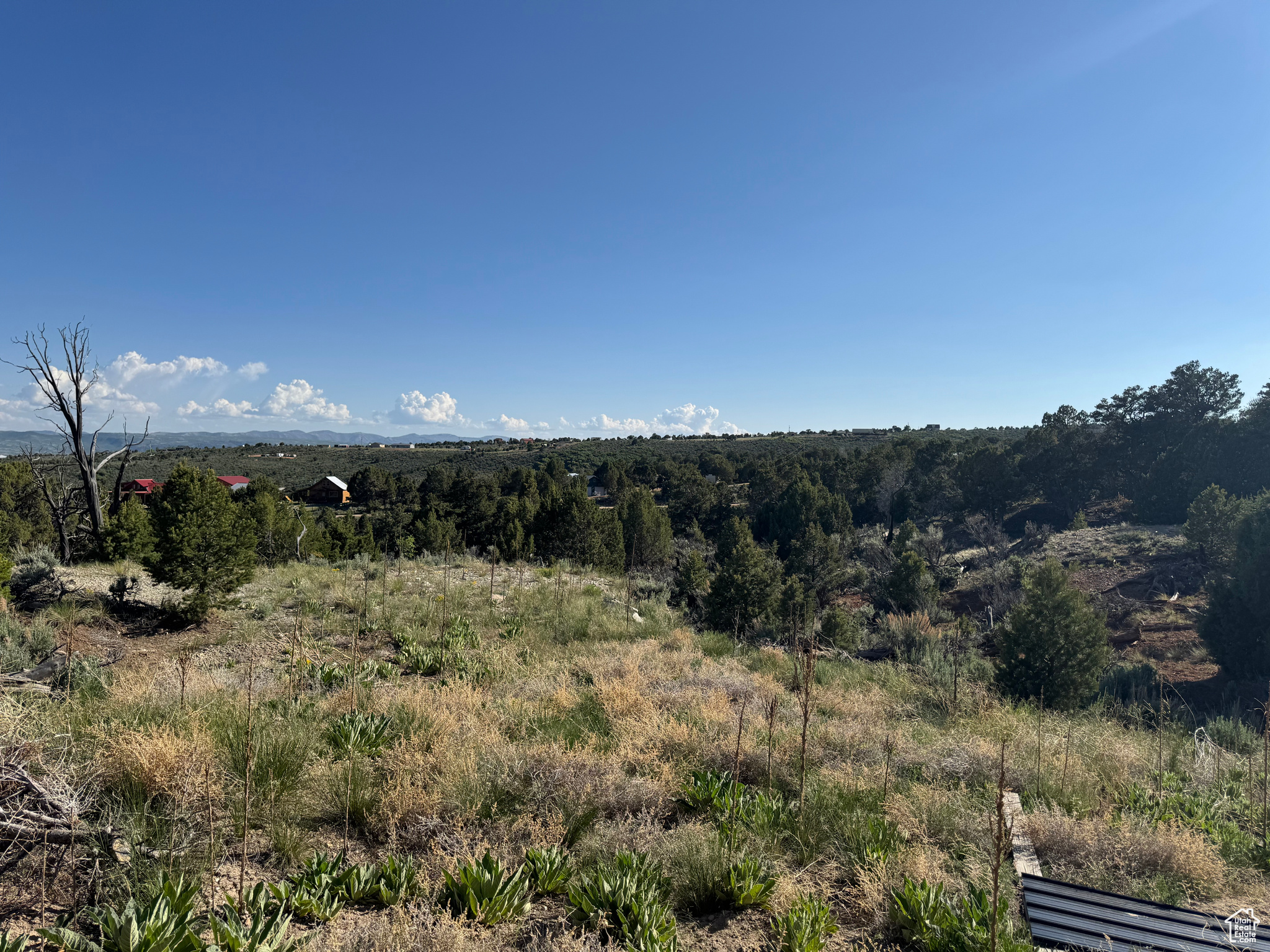 ELKHORN PHASE BANDANNA RANCH - Residential
