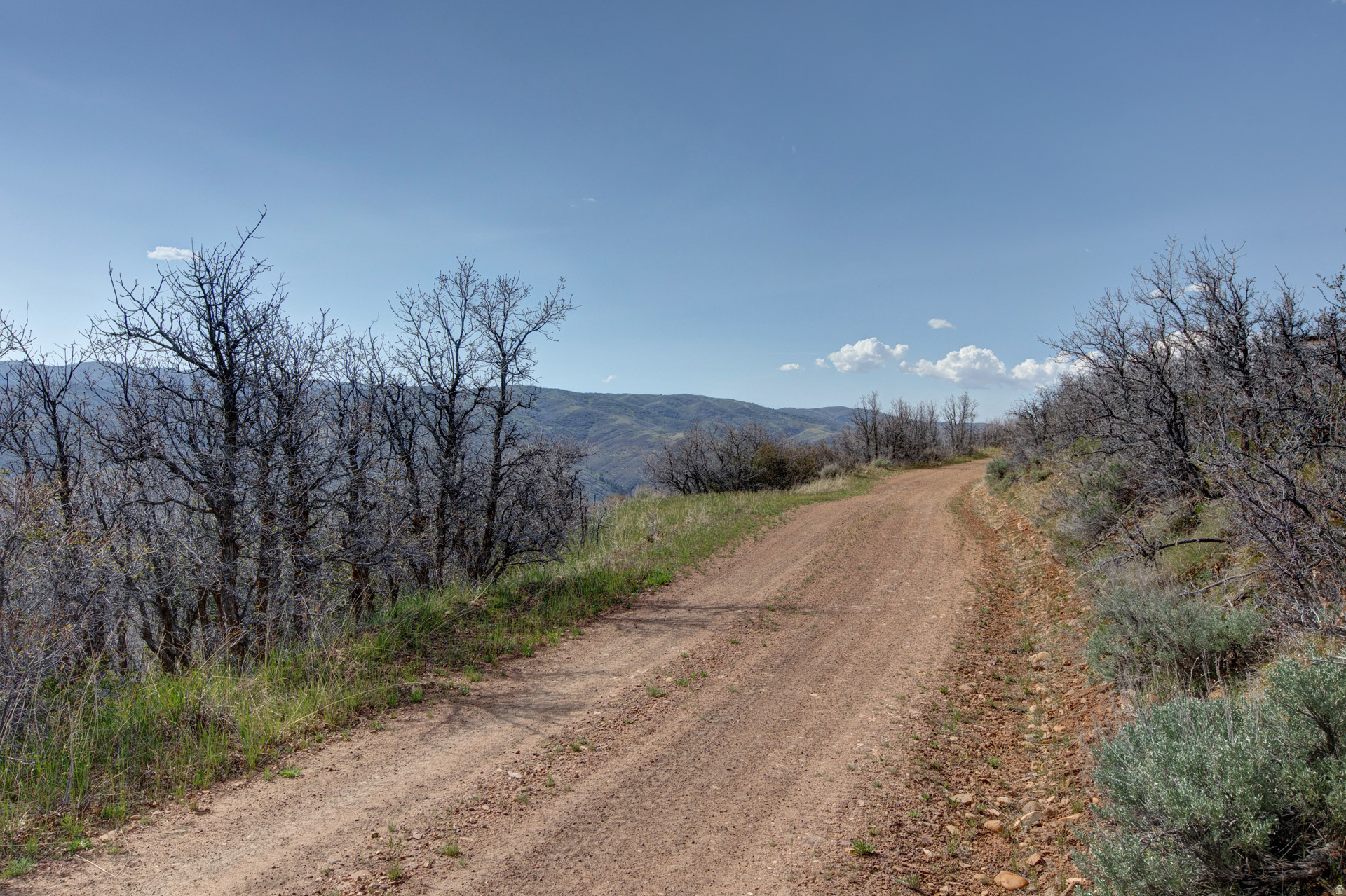 ECHO CREEK RANCHES - Land