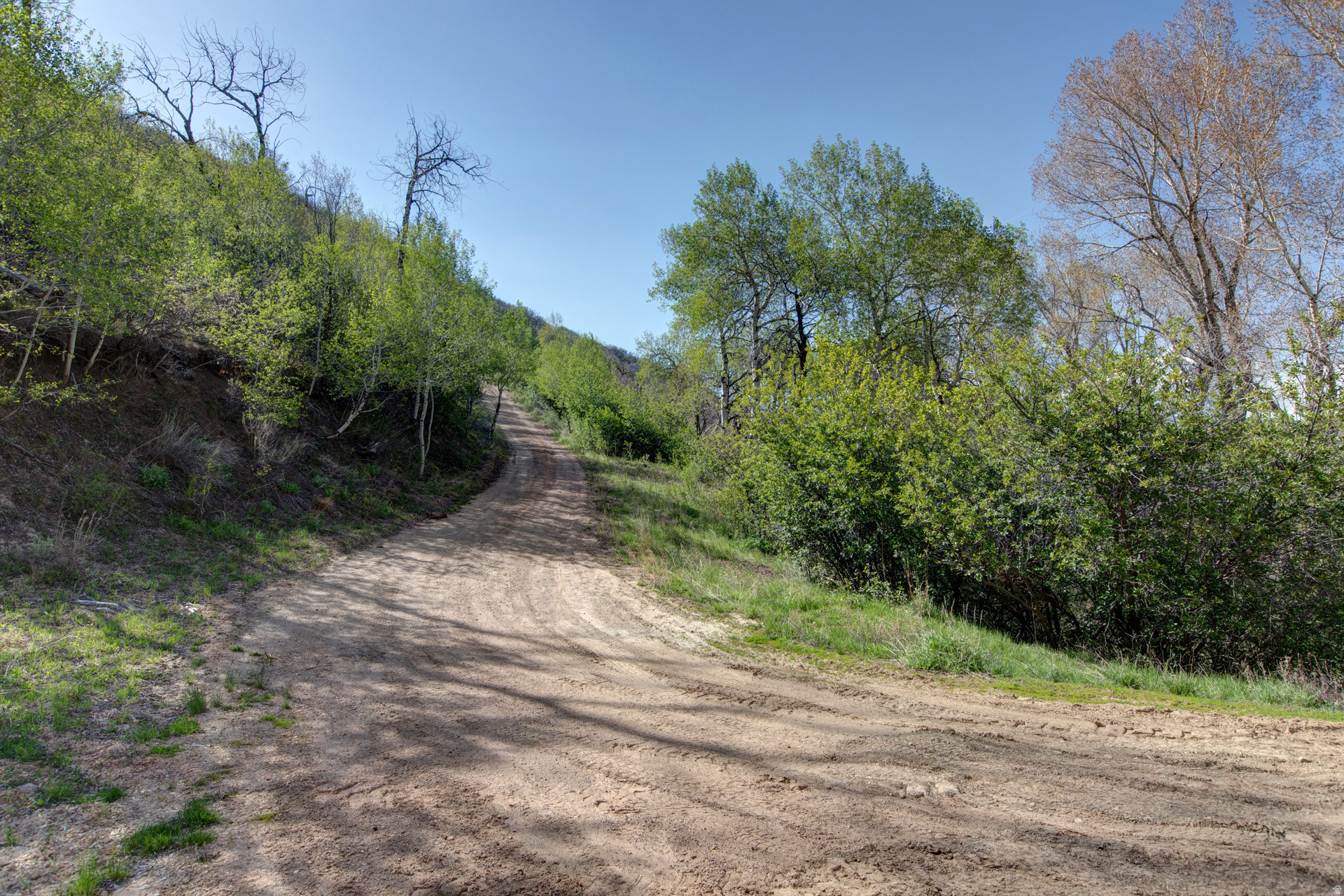 ECHO CREEK RANCHES - Land