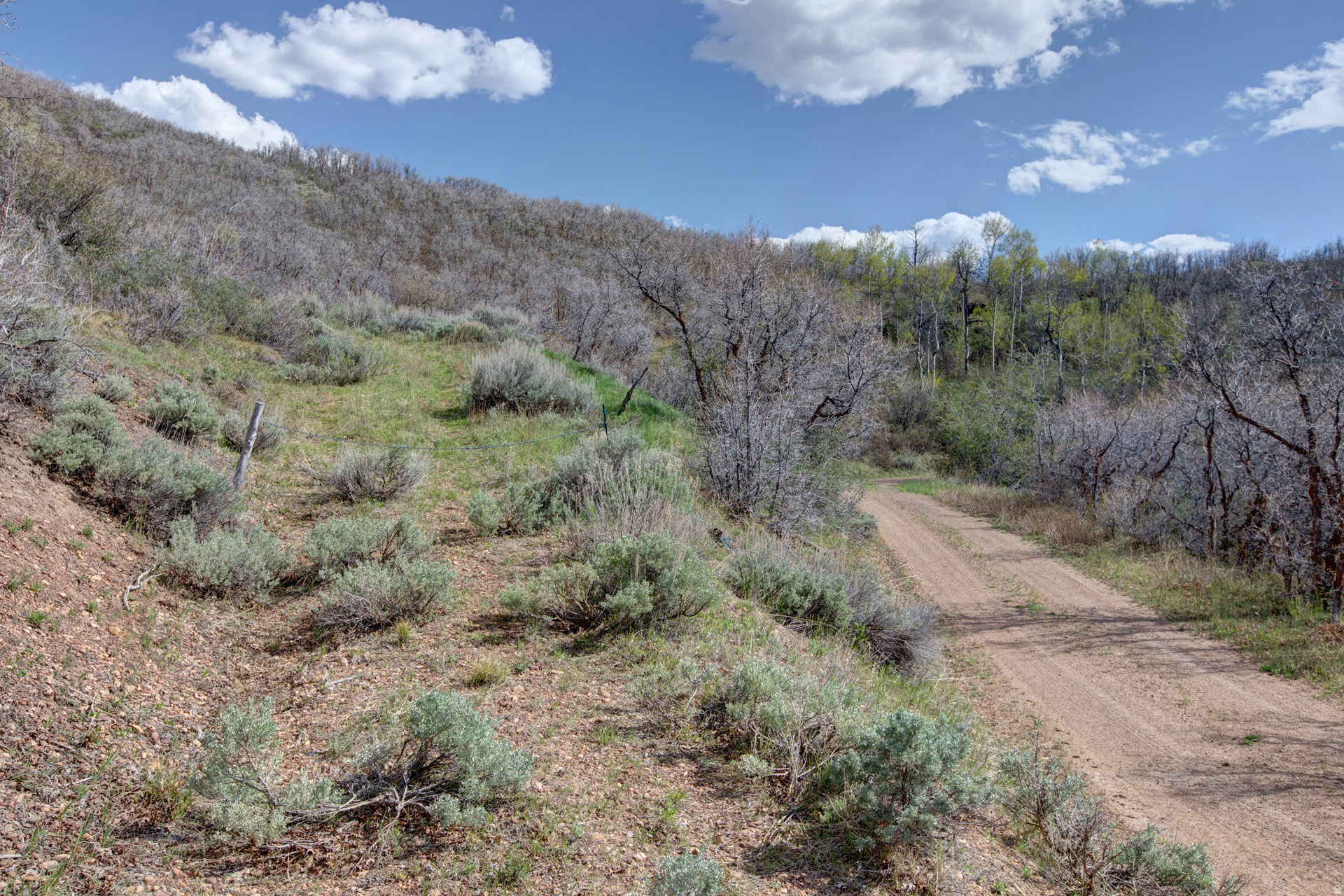 ECHO CREEK RANCHES - Land