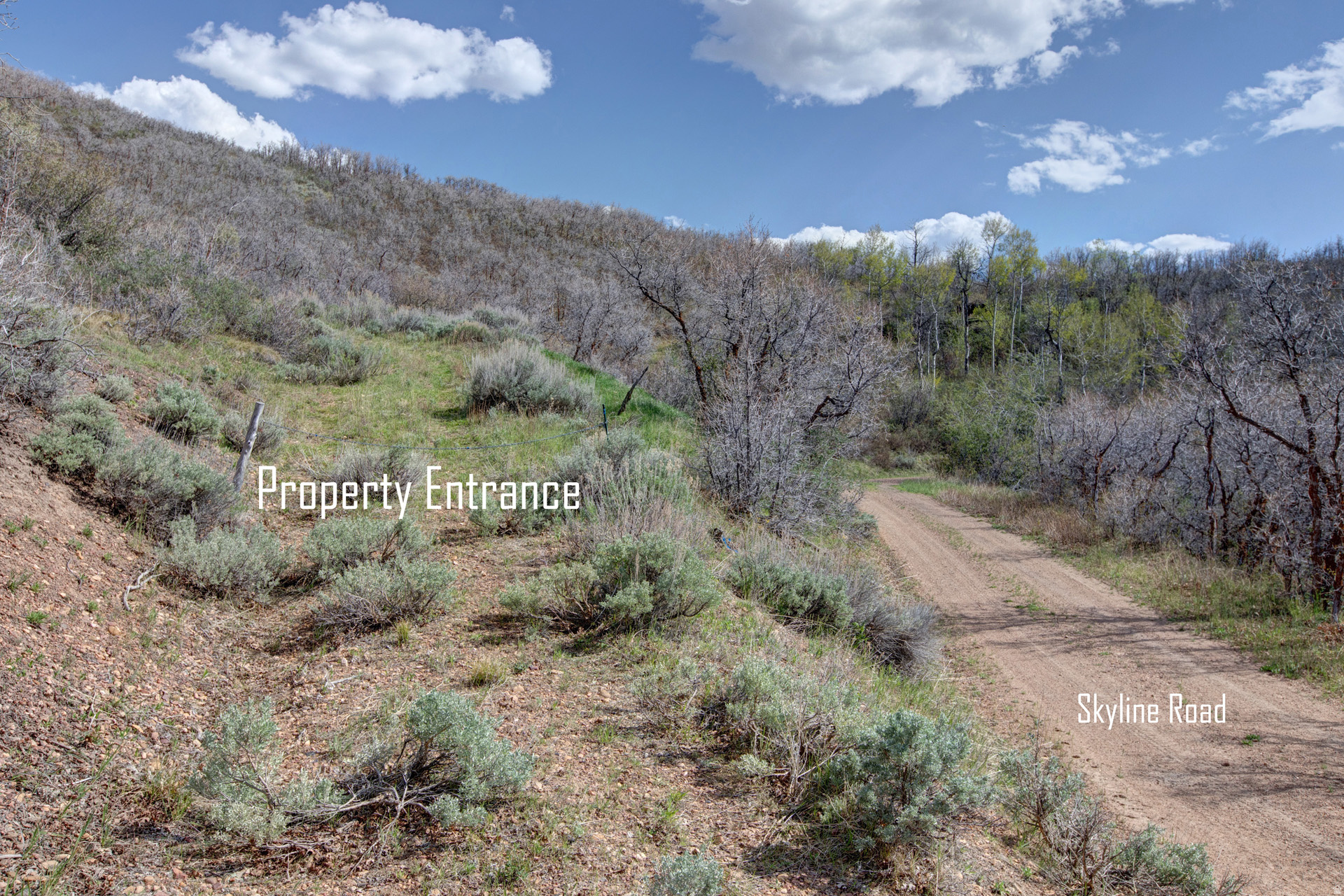 ECHO CREEK RANCHES - Land