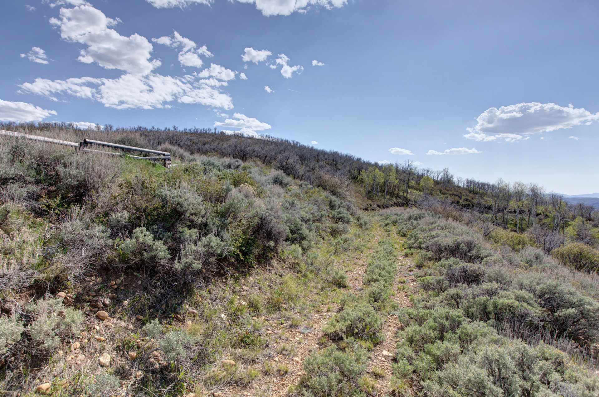 ECHO CREEK RANCHES - Land