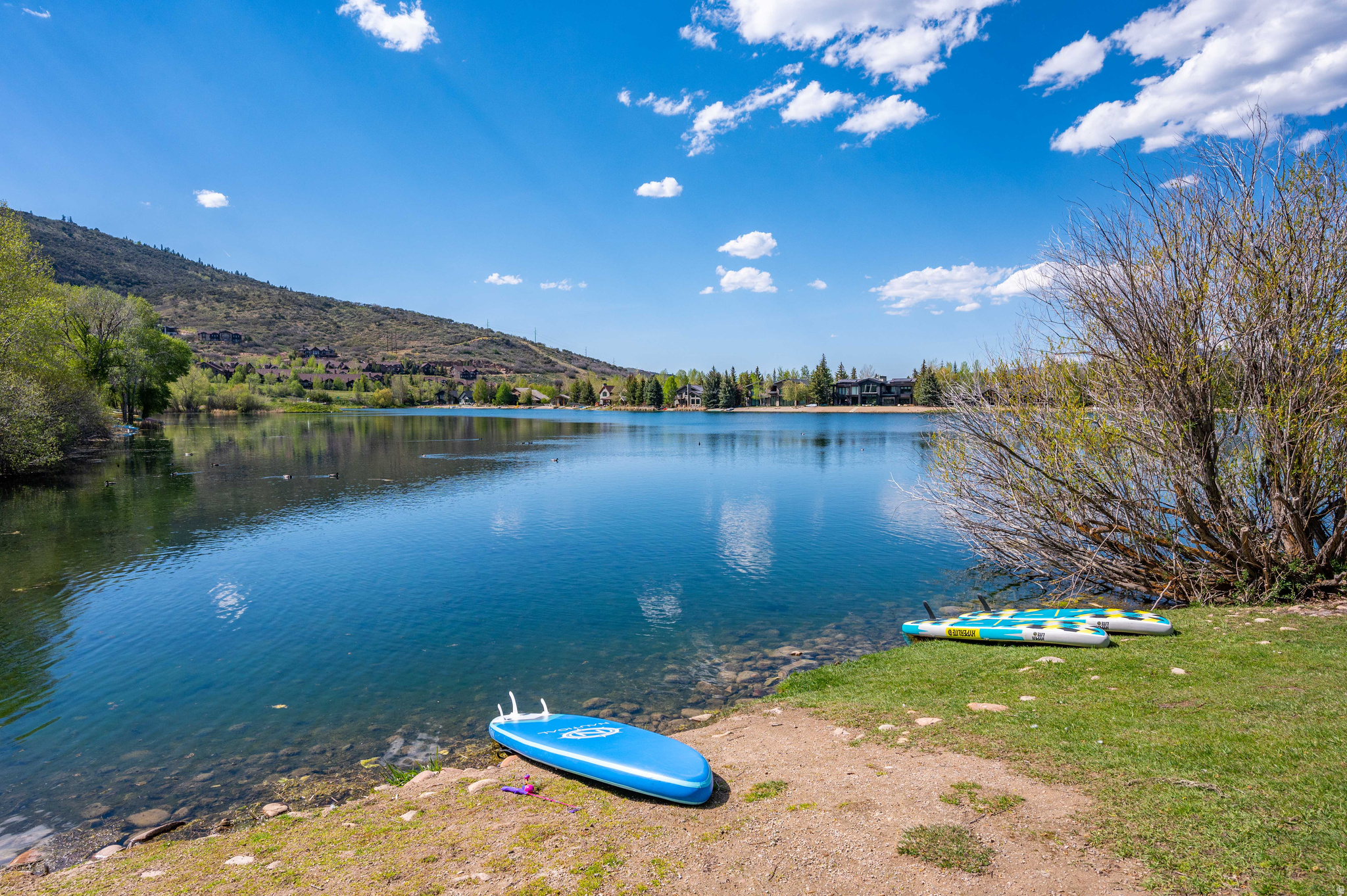 SILVER SPRINGS - Residential
