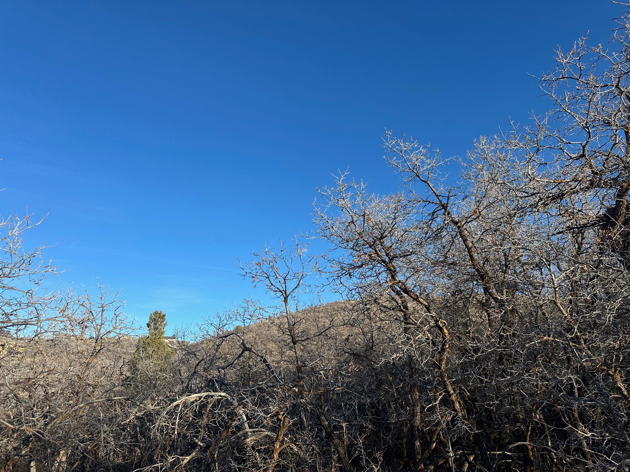 TIMBER LAKES - Land