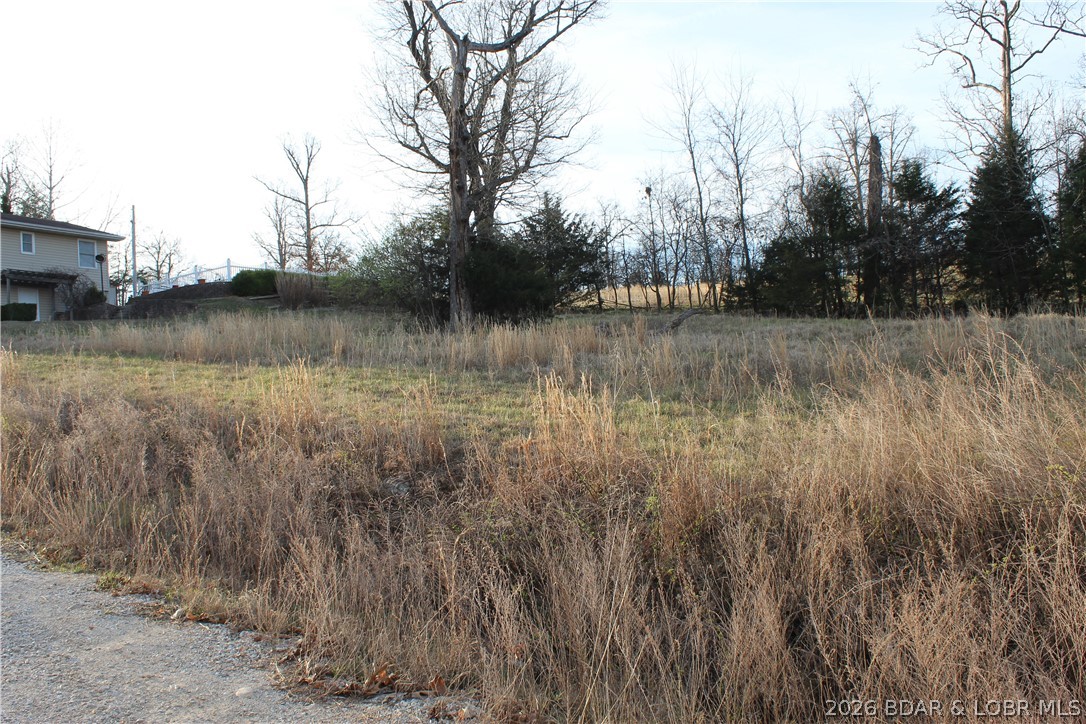 Nice lakeview lot in Johnson's Bay subdivision overlooking Gladstone Cove on the 3.5 mm of the Gravois arm of Lake of the Ozarks. Community water and sewer help reduce your building costs. Come see this perfect spot to build your dream Lake Home!