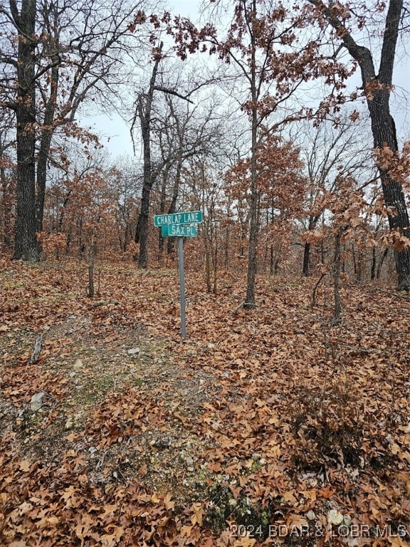Forbes Lake of the Ozarks - Land