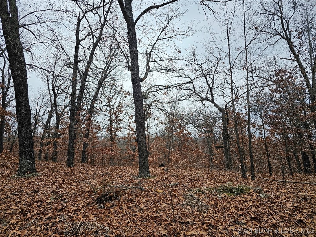 Forbes Lake of the Ozarks - Land