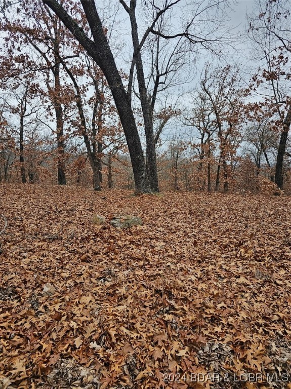 Forbes Lake of the Ozarks - Land