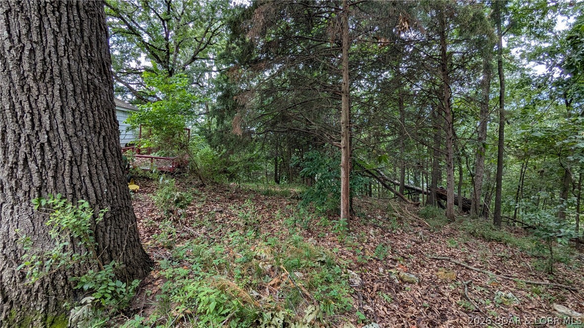 Lake Fork Heights - Residential