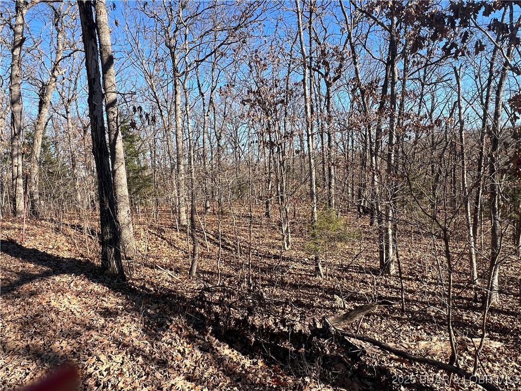 This 6.3 acre lot located on Thong Tree Rd in Camdenton, MO offers a perfect opportunity for building your dream home.  No restrictions!  This spacious lot located in Camdenton School Dist. offers easy access to local amenities, including shops, restaurants, and recreational options around the Ozarks.  Perfect for anyone looking for space and privacy and freedom to build what you want!