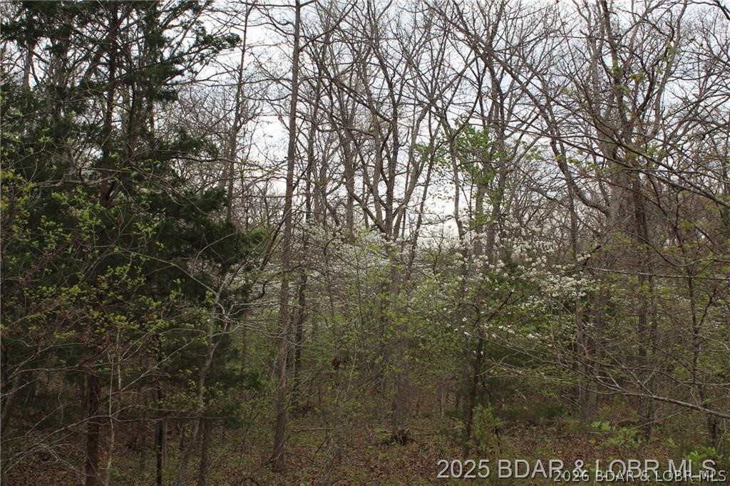 10.8 Acres of Serene, Wooded Land – A Private Retreat Awaits Nestled off of the popular Highway P road, this expansive 10.8-acre wooded lot offers a rare opportunity to own a slice of paradise. Towering trees, natural wildlife, and moderate terrain make it ideal for building your dream home. With plenty of space for trails, camping, or recreation, this property combines privacy with the freedom to create your vision. As well as being close to popular amenities as Lil Bass Hole, Coconuts and Lake Burger. Whether you're looking for investment potential or a personal sanctuary, this untouched land is ready for you to make it your own.