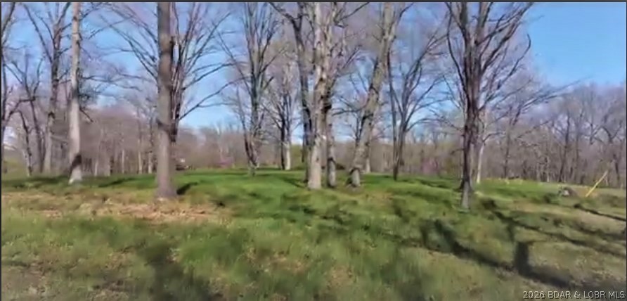 Timber Ridge - Land