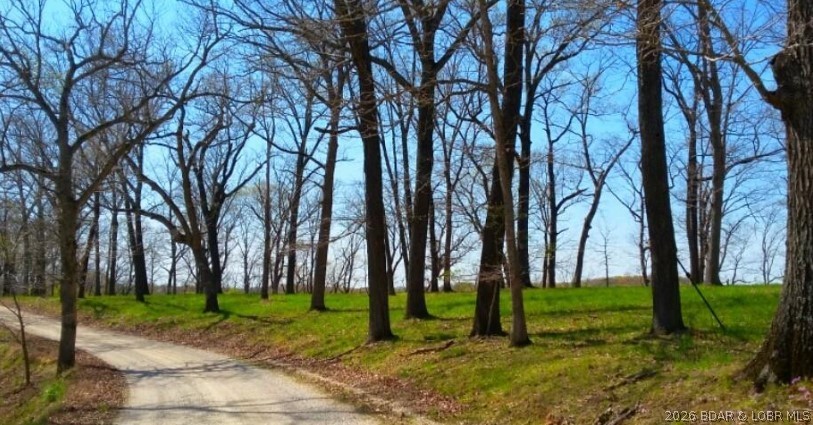 Timber Ridge - Land