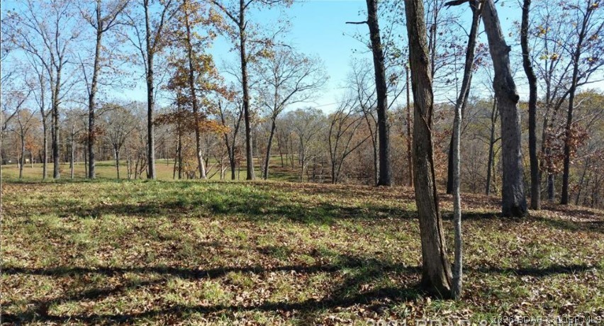Timber Ridge - Land