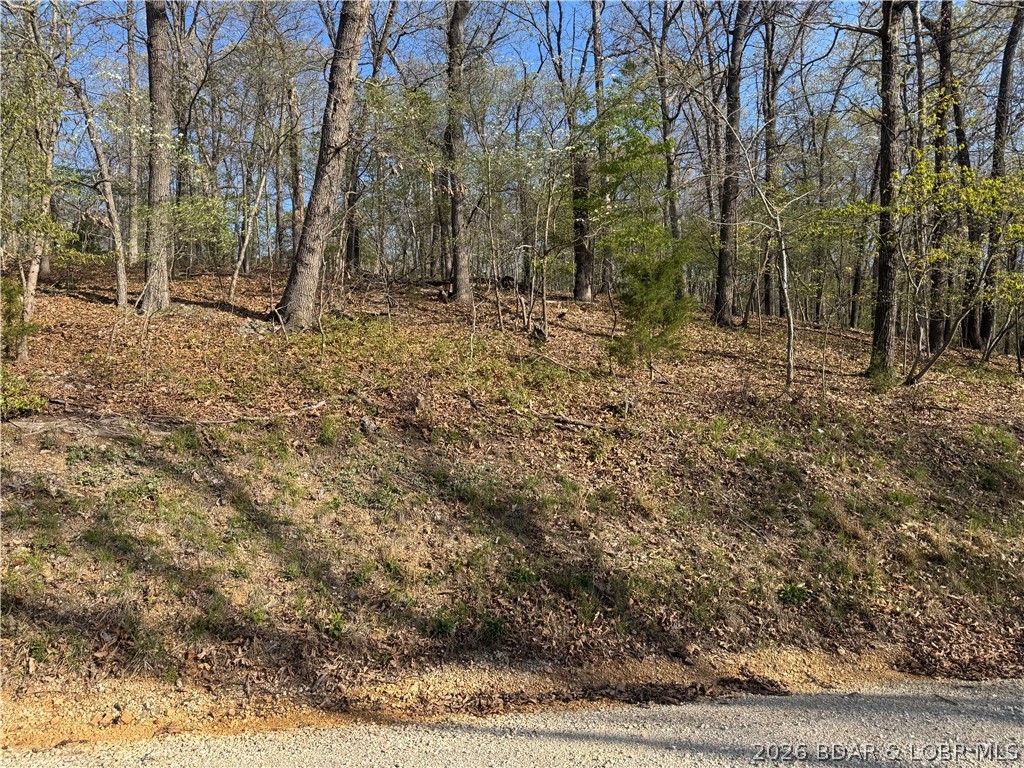 Build your dream home or secure a smart investment with this 2nd Tier lot located on Albany Dr in the highly sought-after Four Seasons community. Whether you’re planning to build now or simply looking to enjoy ownership with access to top-tier amenities, this property offers flexibility and long-term value.

Four Seasons provides unmatched amenities including a boat ramp, boat trailer parking, indoor and outdoor pools, tennis courts, dog park, fitness center, and more—making it easy to enjoy the lake lifestyle without compromising convenience.

Perfect for those seeking a peaceful setting, future build opportunity, or a way to take advantage of everything the community has to offer. Secure your spot in one of the lake’s most desirable areas.