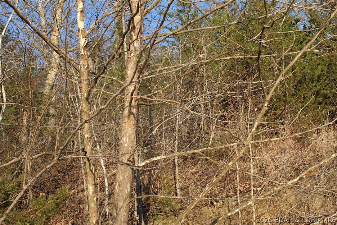 Indian Creek Hills - Land